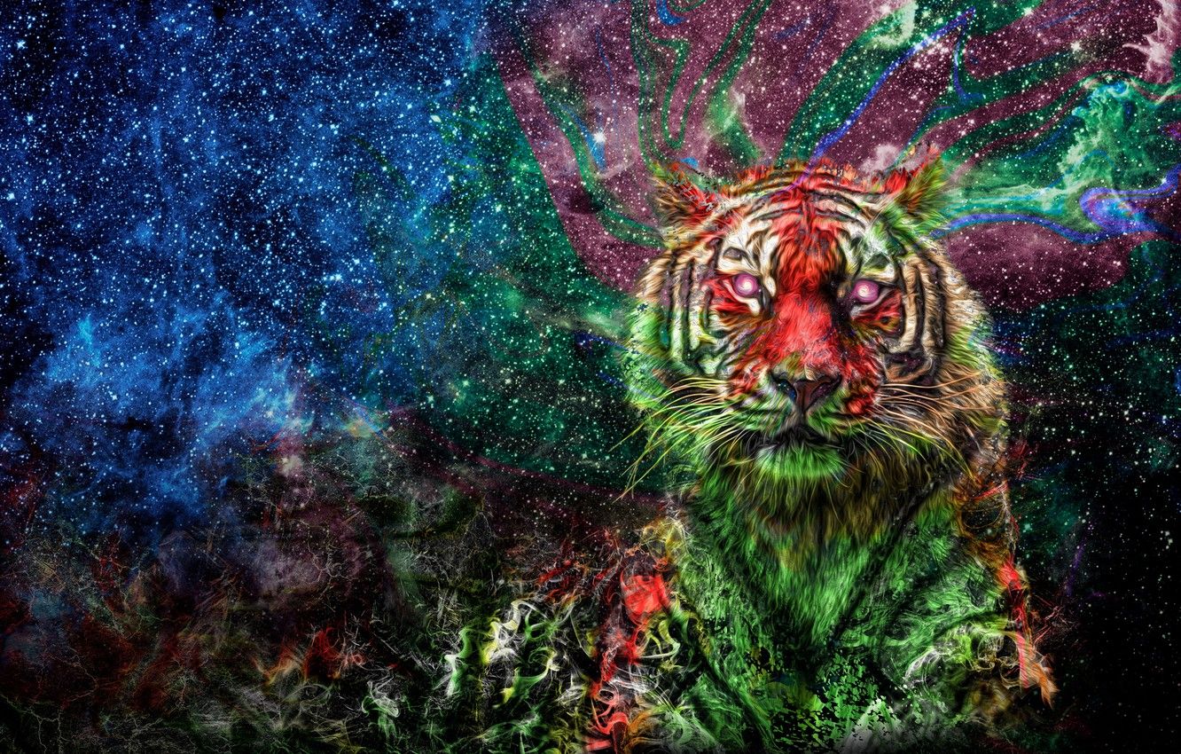 Wallpaper space, tiger, colorful, color image for desktop, section кошки