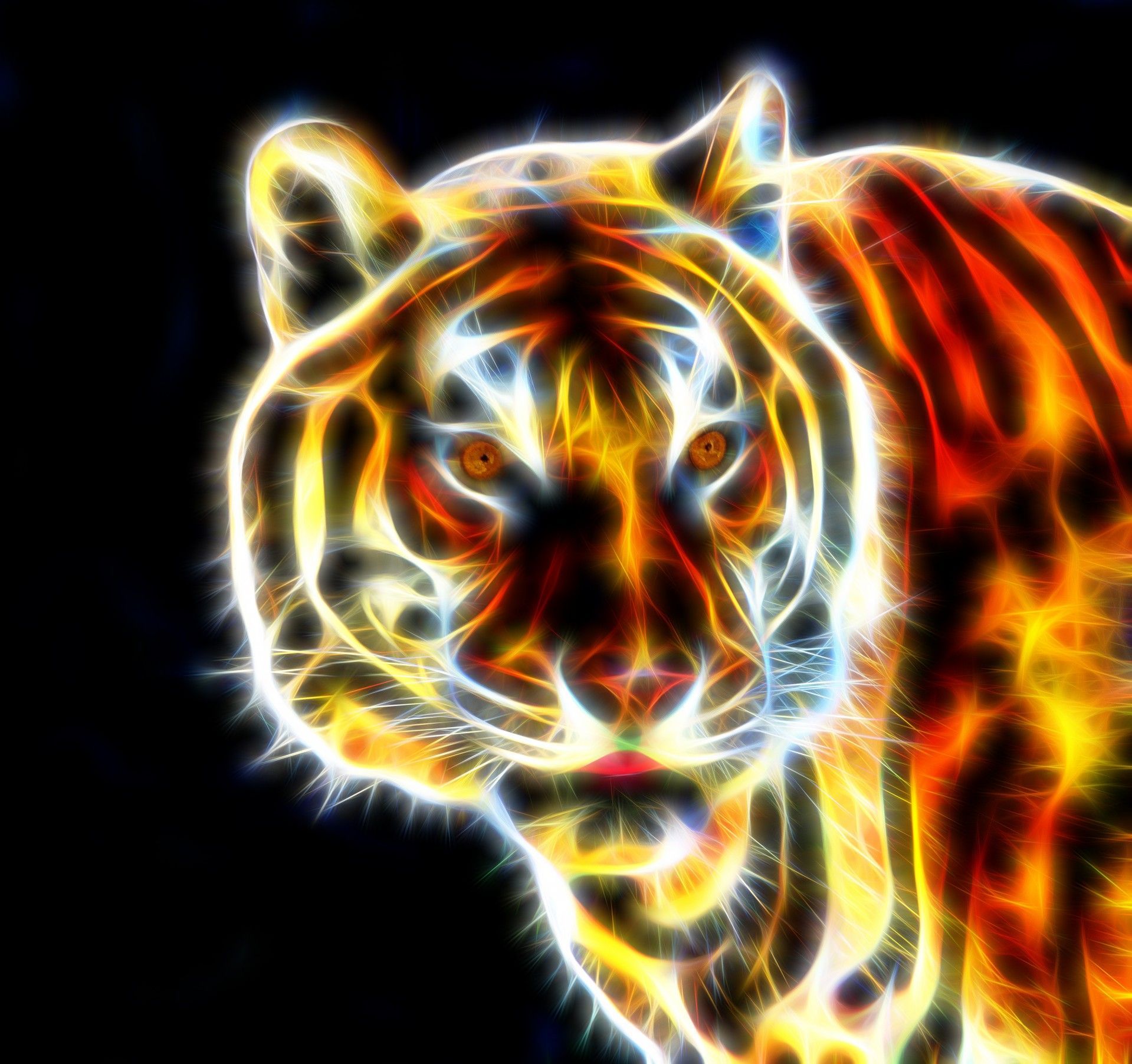 Colored Tiger Wallpapers Wallpaper Cave