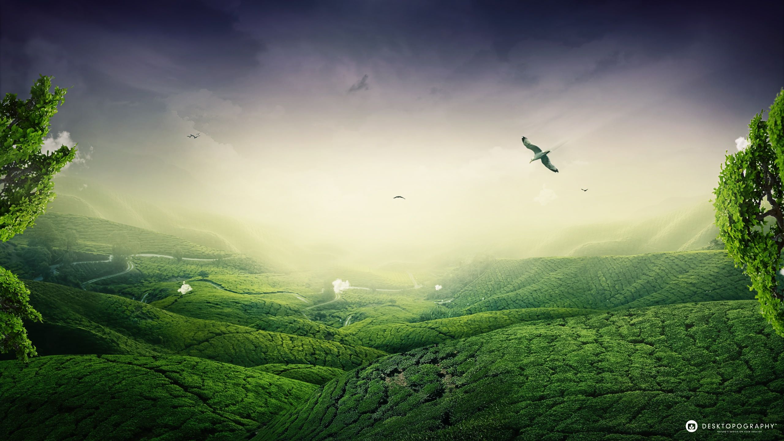 Breathtaking Landscape Wallpaper Landscape Nature Wallpaper in 2560x1440