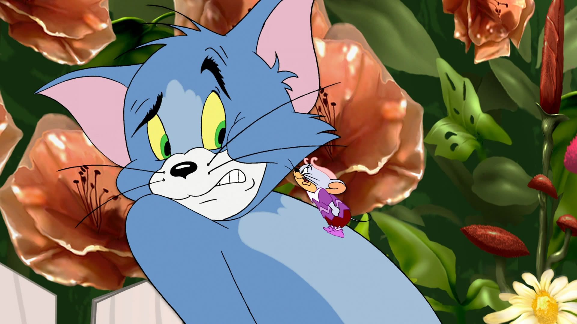 Tom And Jerry 3D Wallpaper