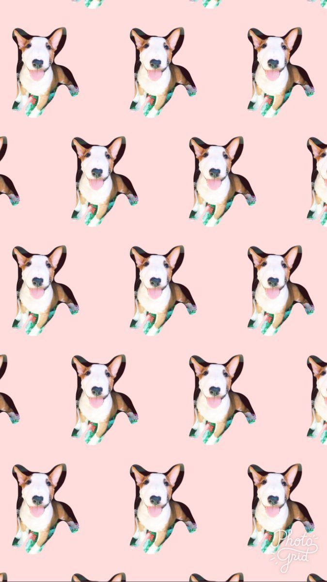 P☽ - I made wallpaper of the #AZNpupsquad !!!!!