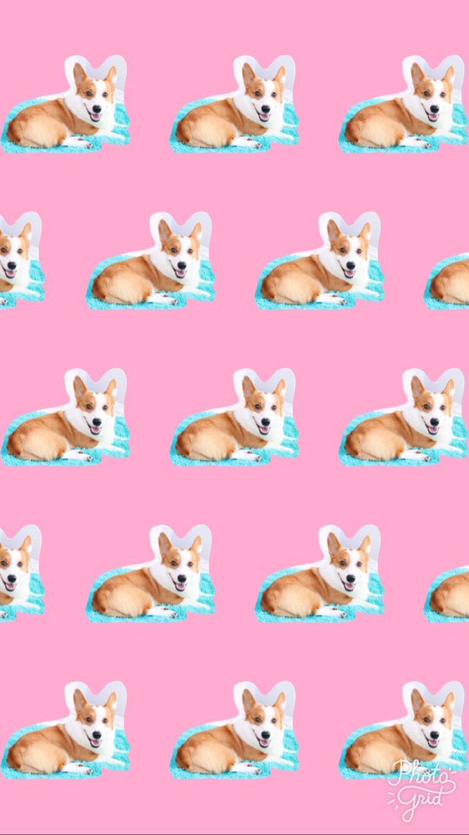 P☽ - I made wallpaper of the #AZNpupsquad !!!!!