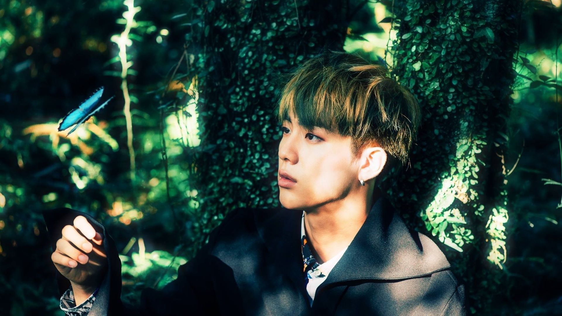 Jin Desktop Wallpaper