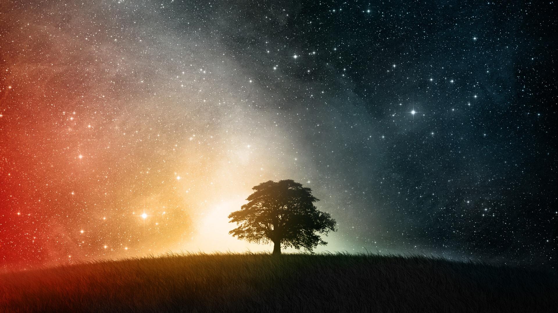 Day And Night Wallpaper