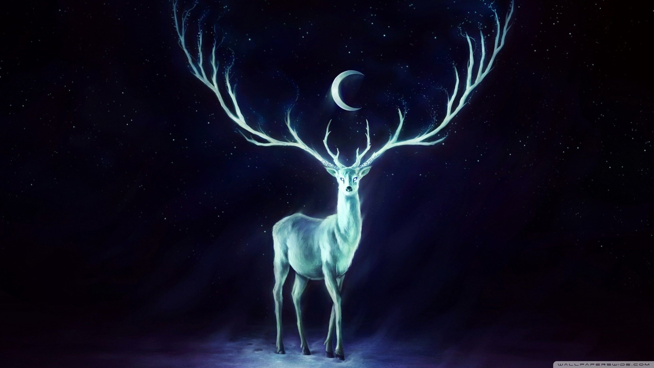 Spectral deer [2560×1440]