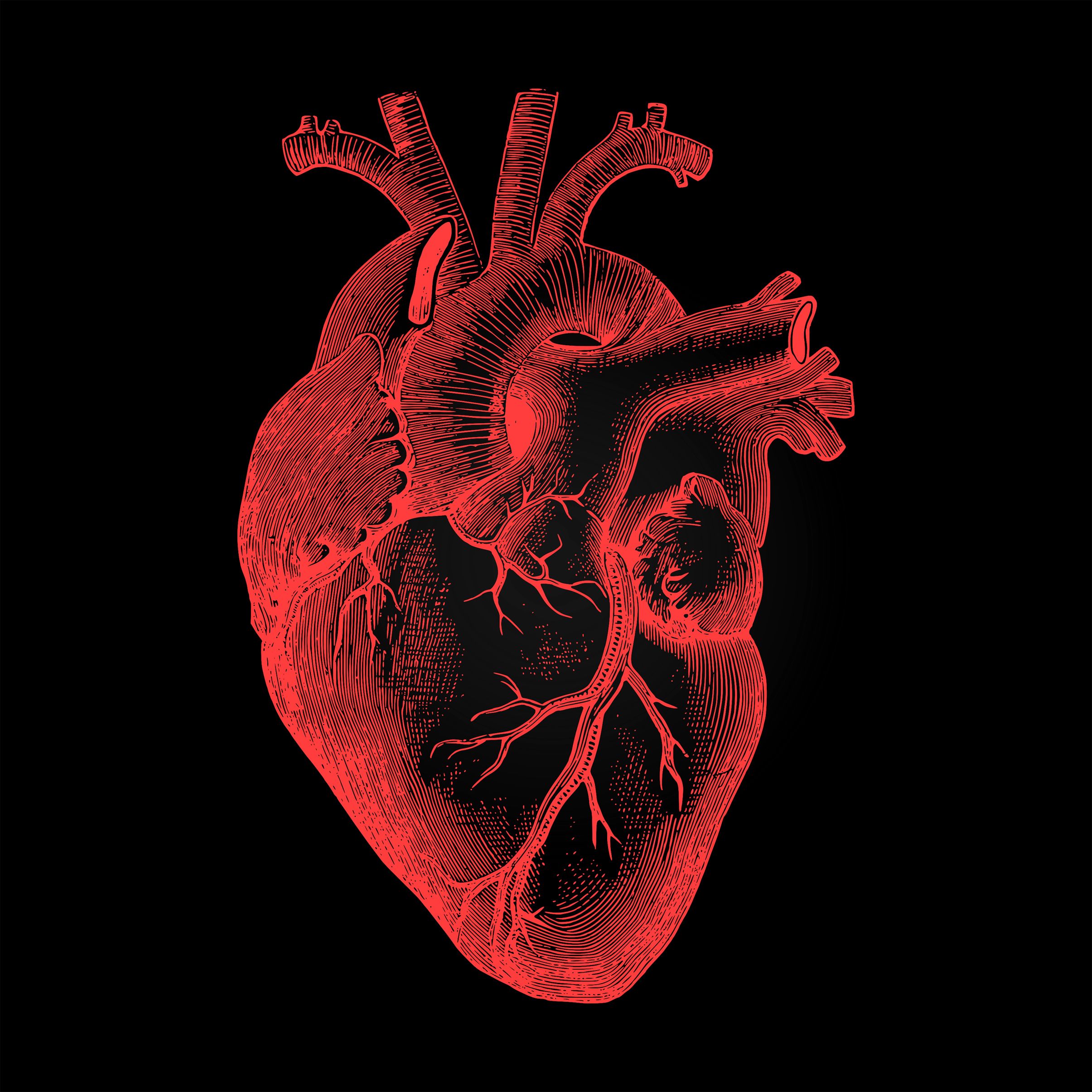 Free photo: Human Heart Rendering on Dark Background, Retro, Humaninternalorg