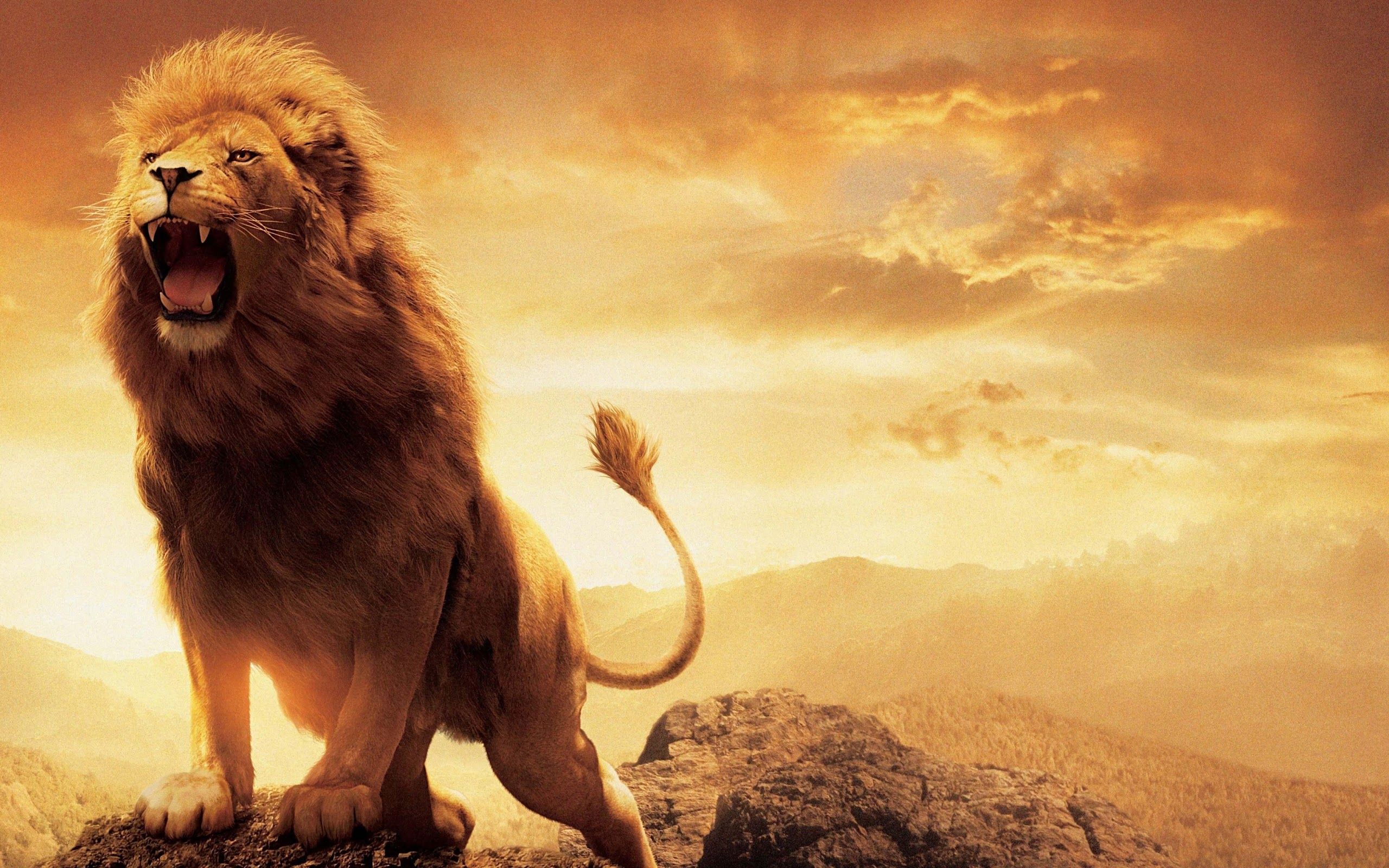 Lion Roar 4K 3840x2160 Wallpaper