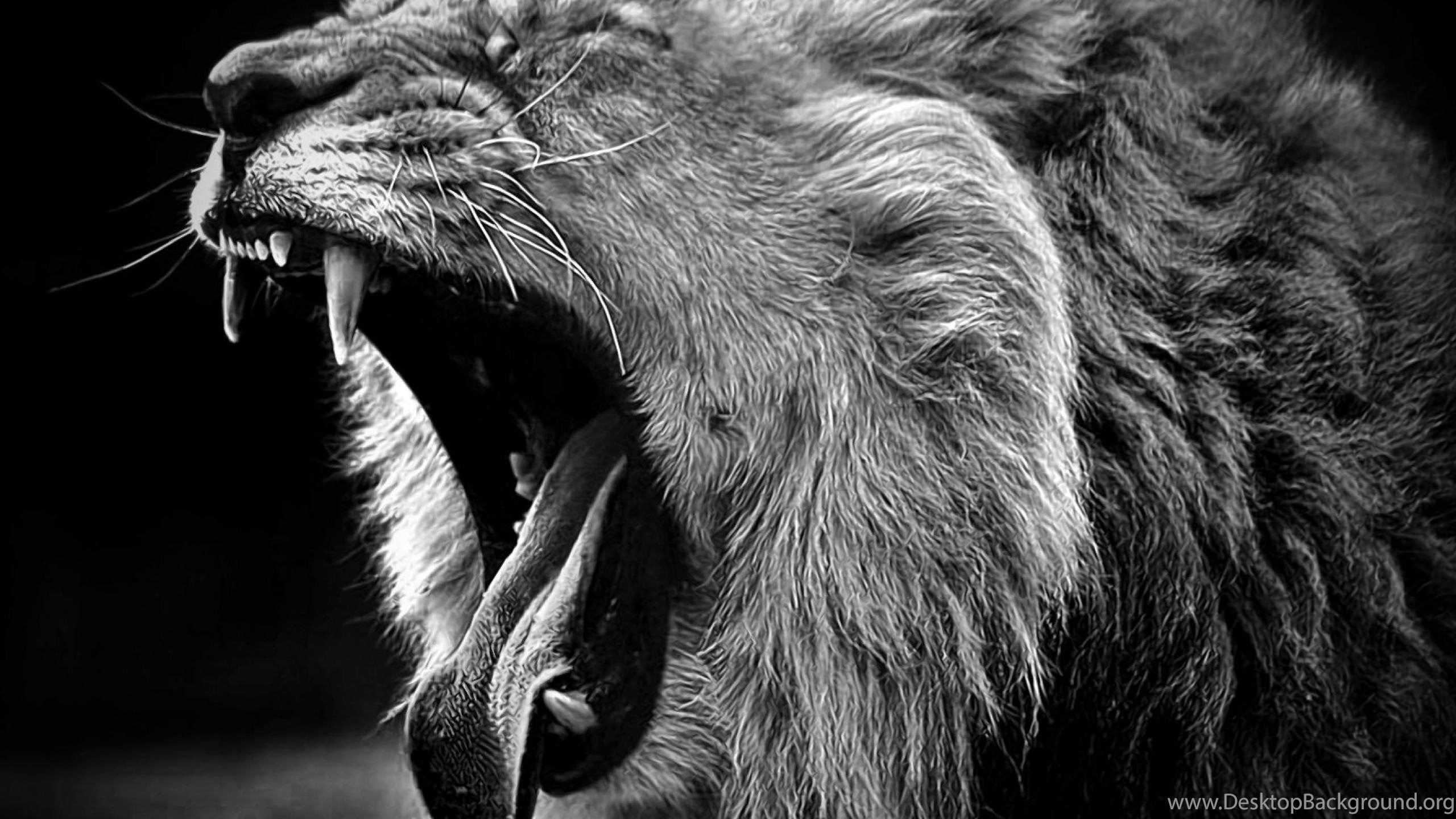 Lion Roar Wallpaper HD Resolution Desktop Background