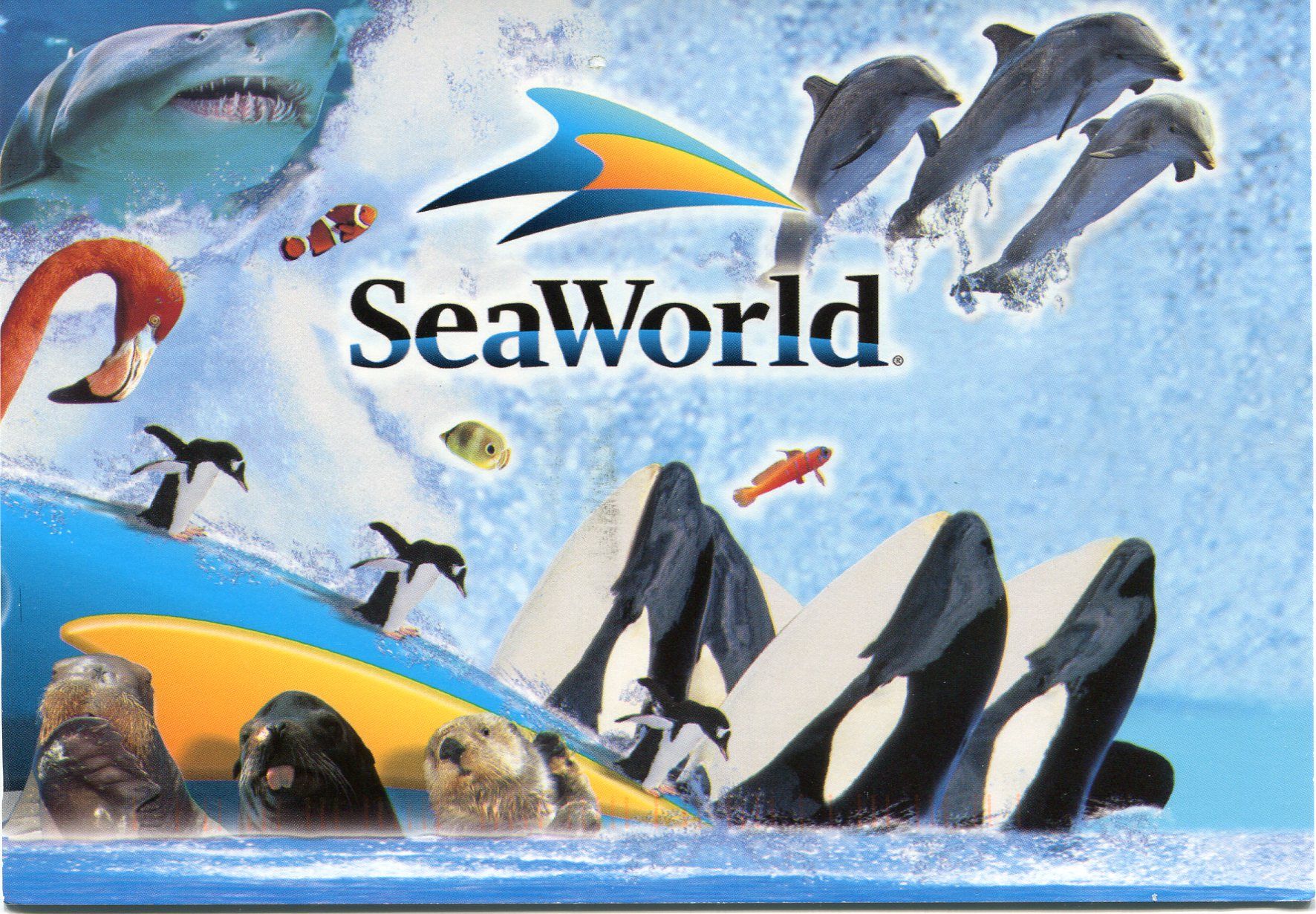 SeaWorld Orlando Wallpaper. SeaWorld Orlando Wallpaper, SeaWorld San Antonio Wallpaper and SeaWorld San Diego Wallpaper