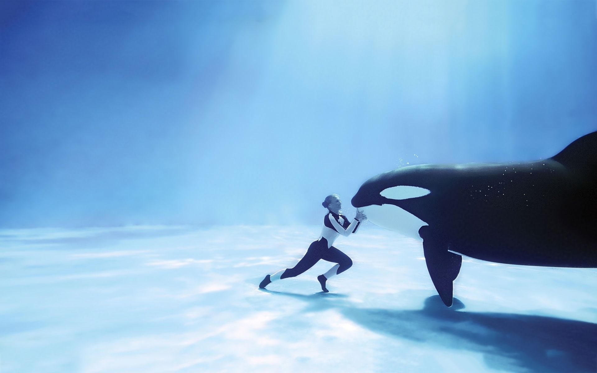 swimming with orcas. Whale picture, Underwater wallpaper, Orca
