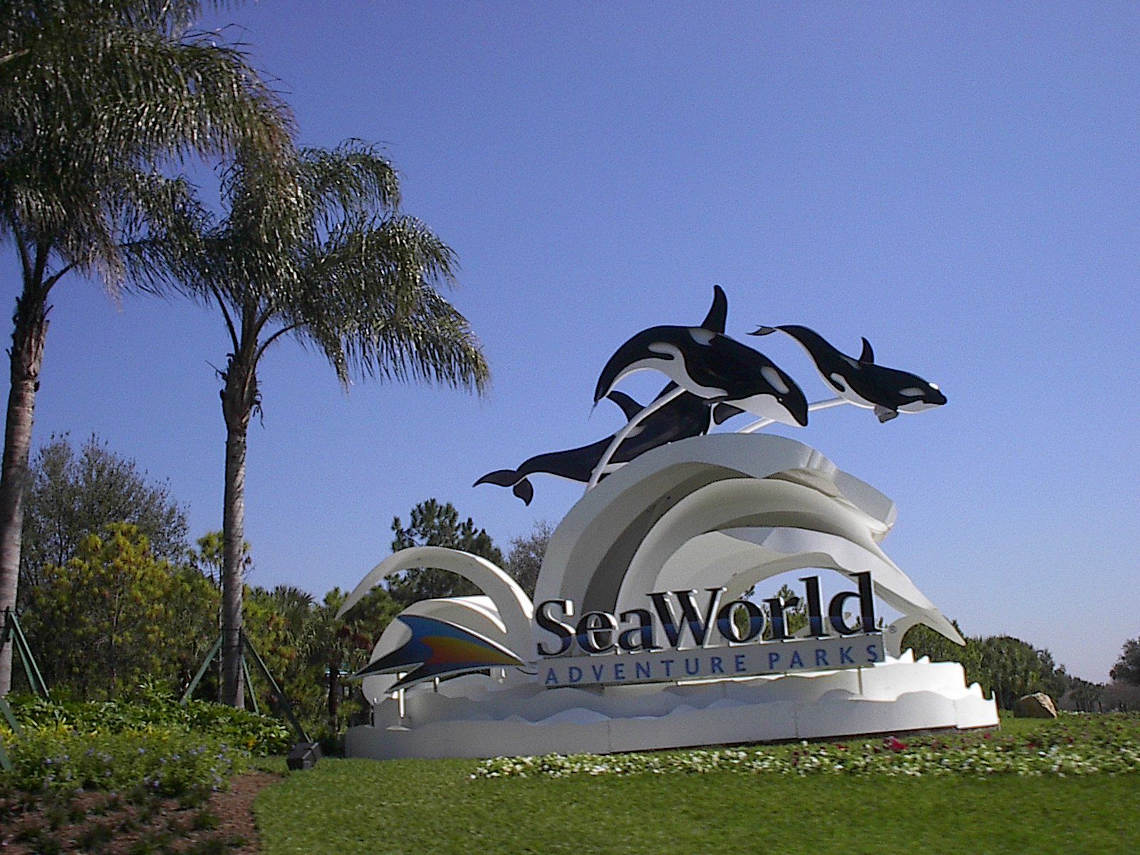 Seaworld Wallpaper