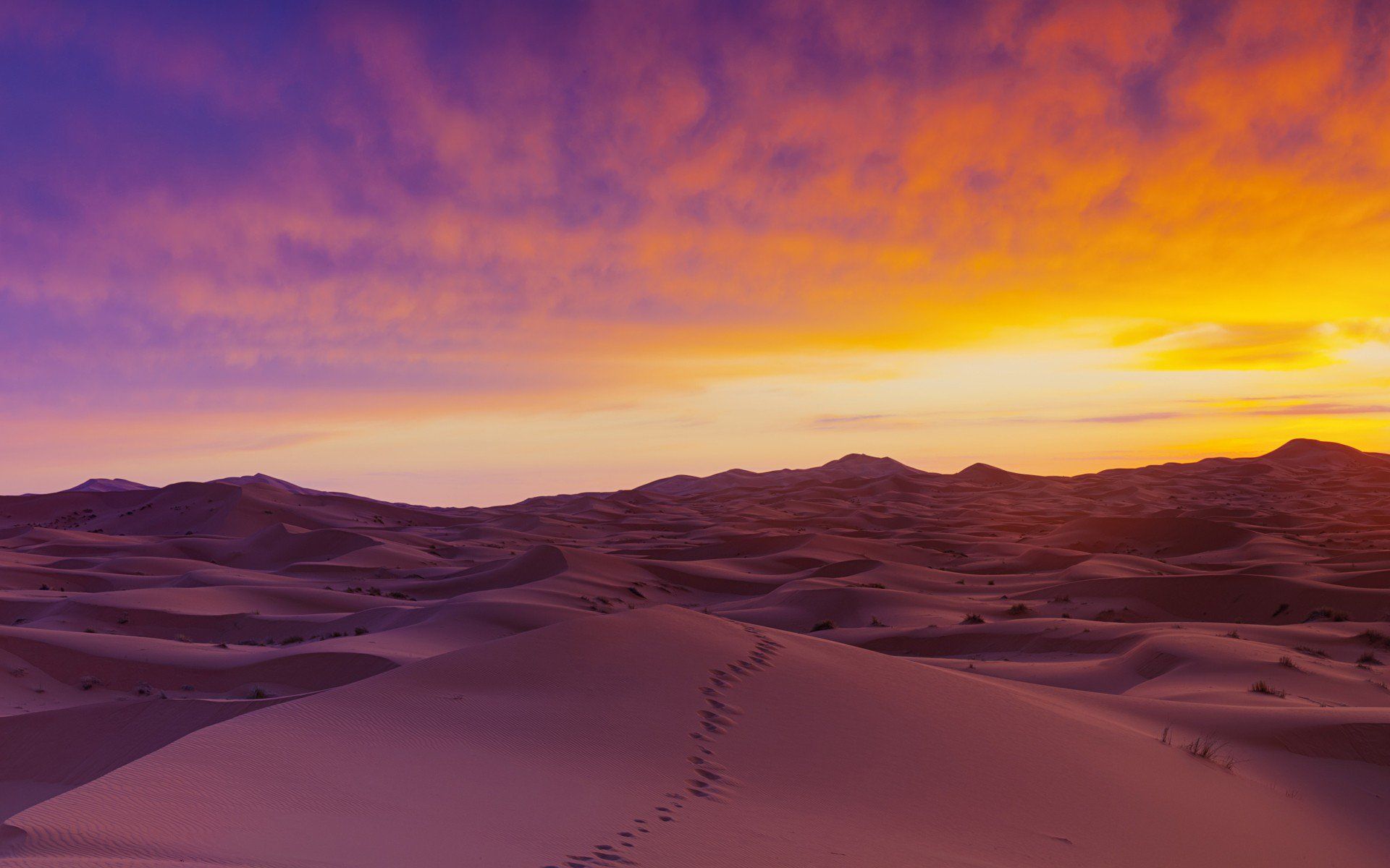 Sahara Desert Sand Dunes, HD Nature, 4k Wallpaper, Image, Background, Photo and Picture