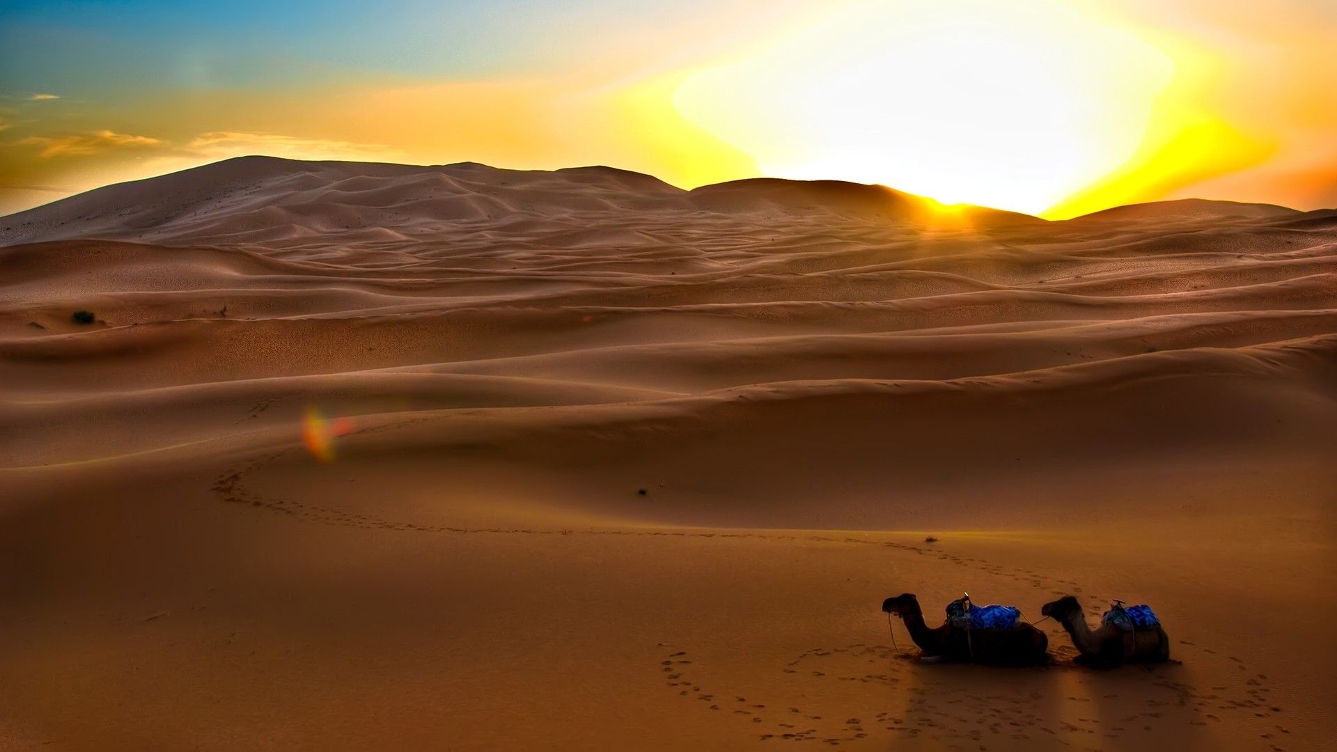 Free download Sahara Desert Sunset Wallpaper 21293 Wallpaper HD [1920x1080] for your Desktop, Mobile & Tablet. Explore Sahara Desert Wallpaper. Sahara Wallpaper, Desert Wallpaper HD