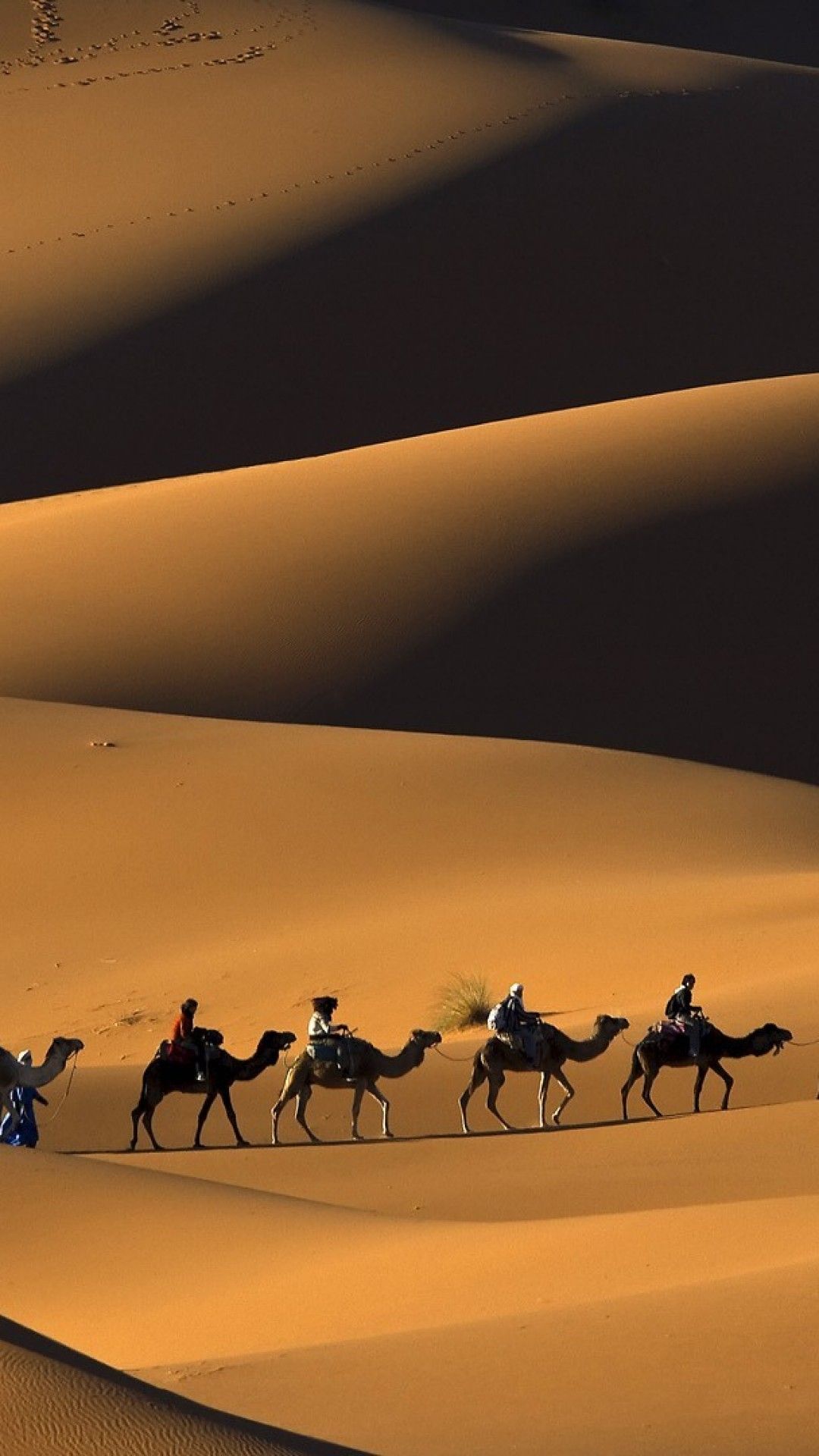 Sahara Desert iPhone Wallpaper