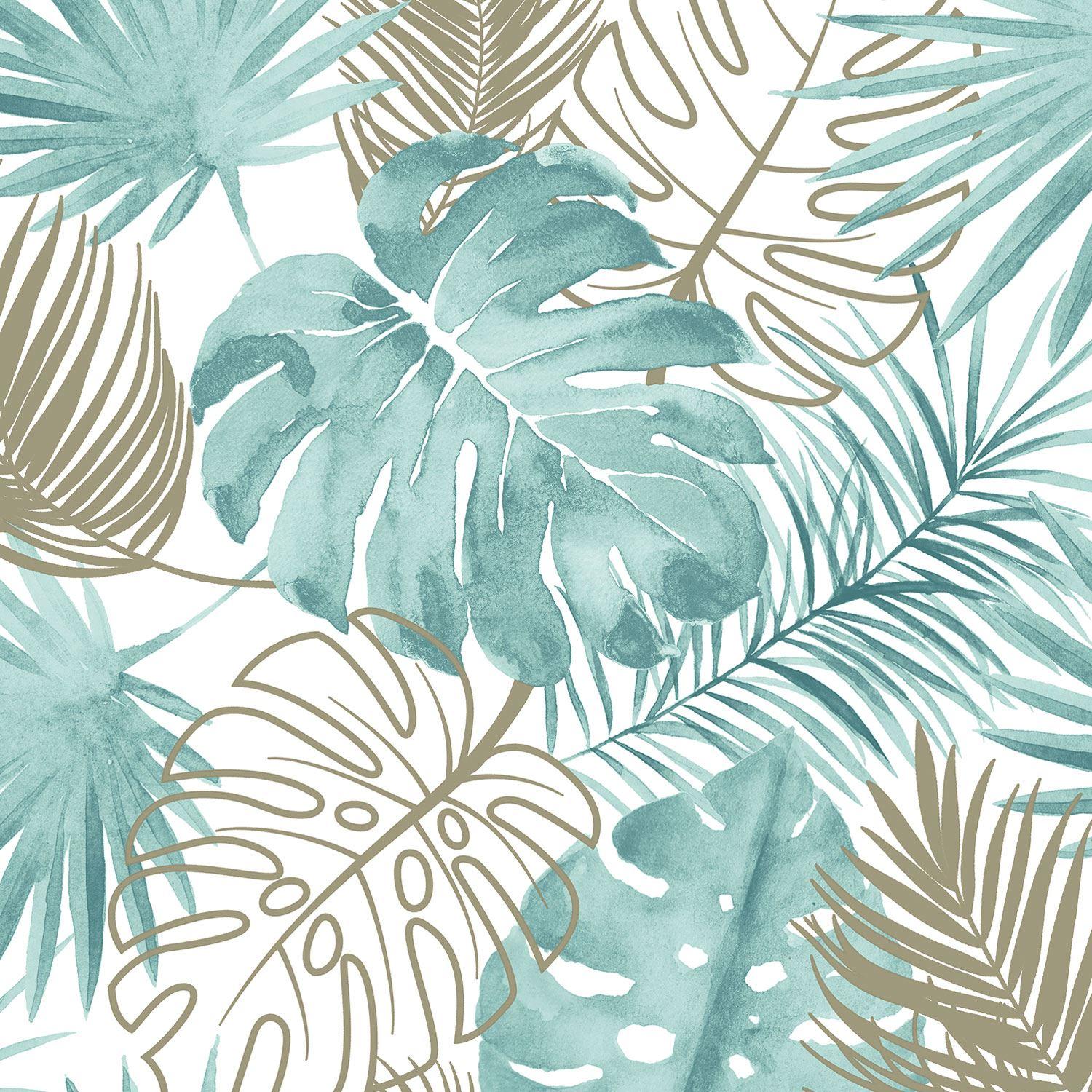 Tropical Aesthetic Leaves Background - Download 26,559 tropical free