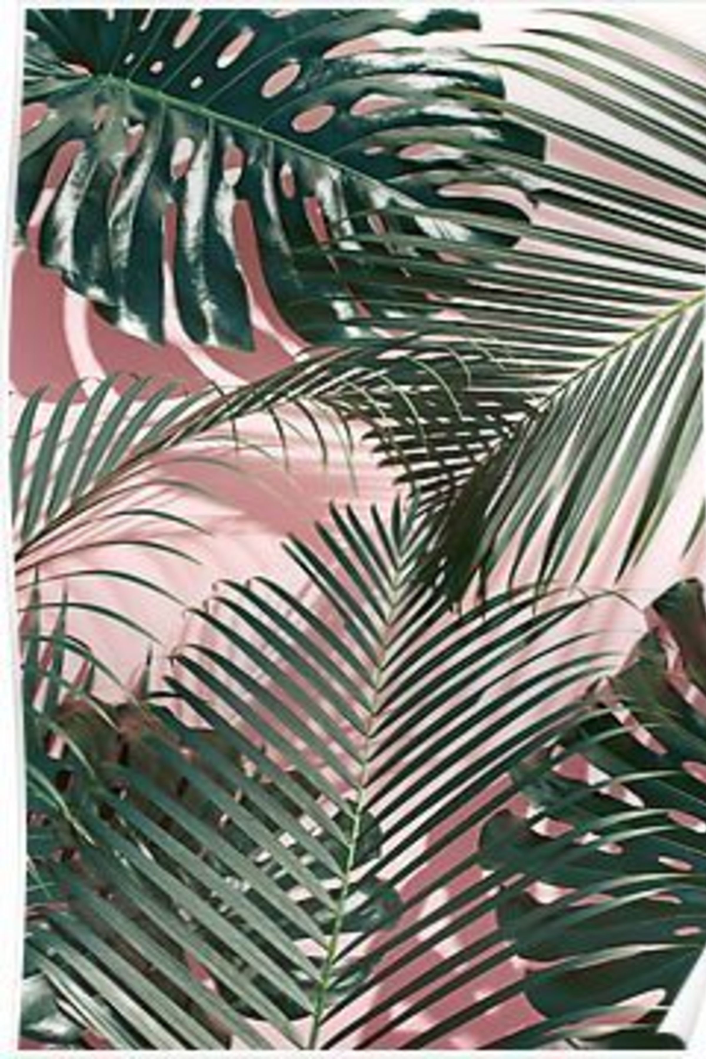 Enjoy The Palm Life ➜ usapalm.com. Plant wallpaper, Aesthetic wallpaper, Landscape illustration