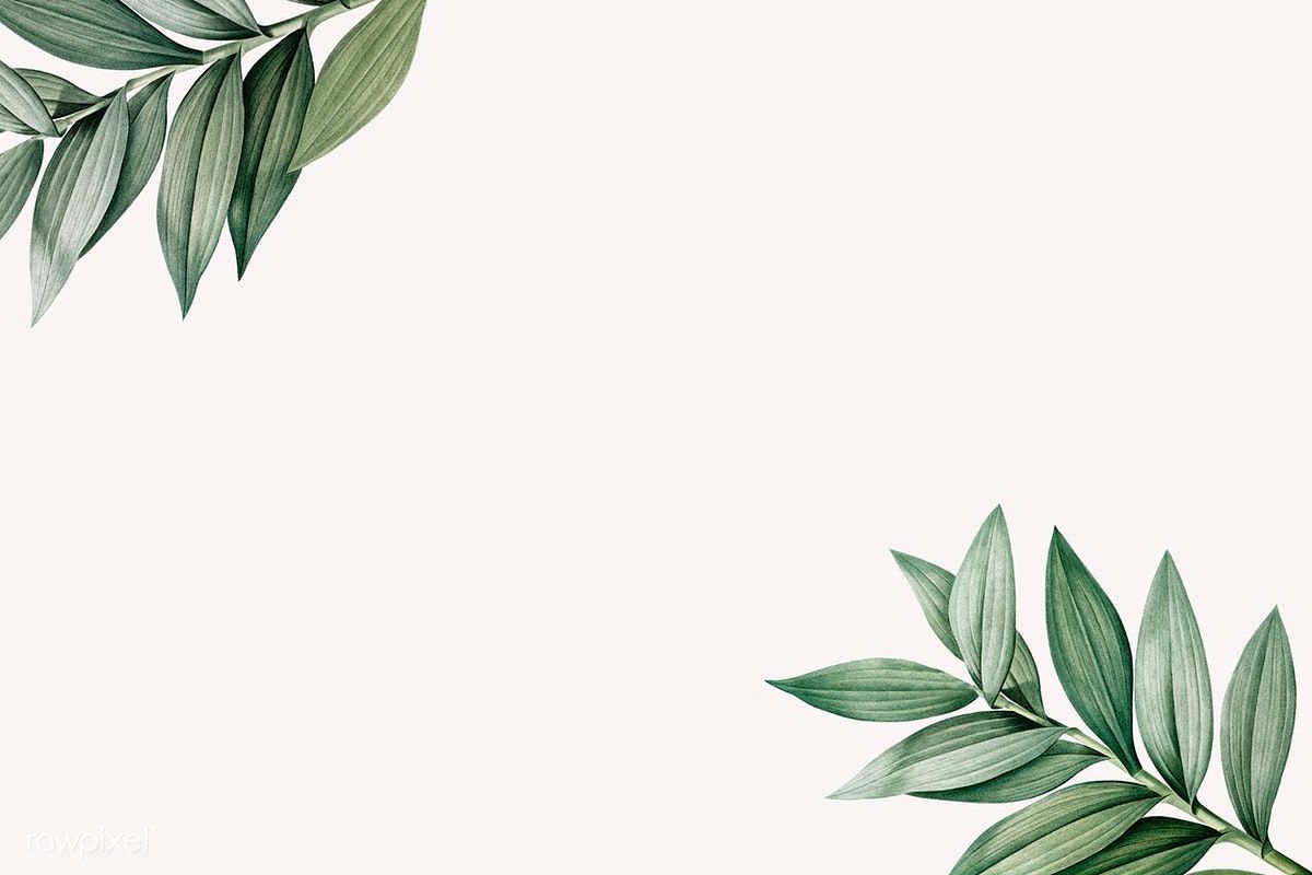 Download premium illustration of Tropical botanic leaves background. Desktop wallpaper art, Cute desktop wallpaper, Aesthetic desktop wallpaper