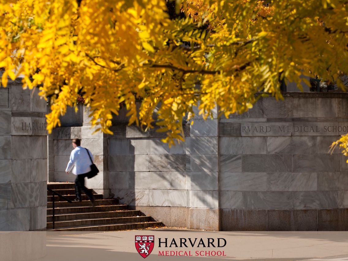 Harvard Med School