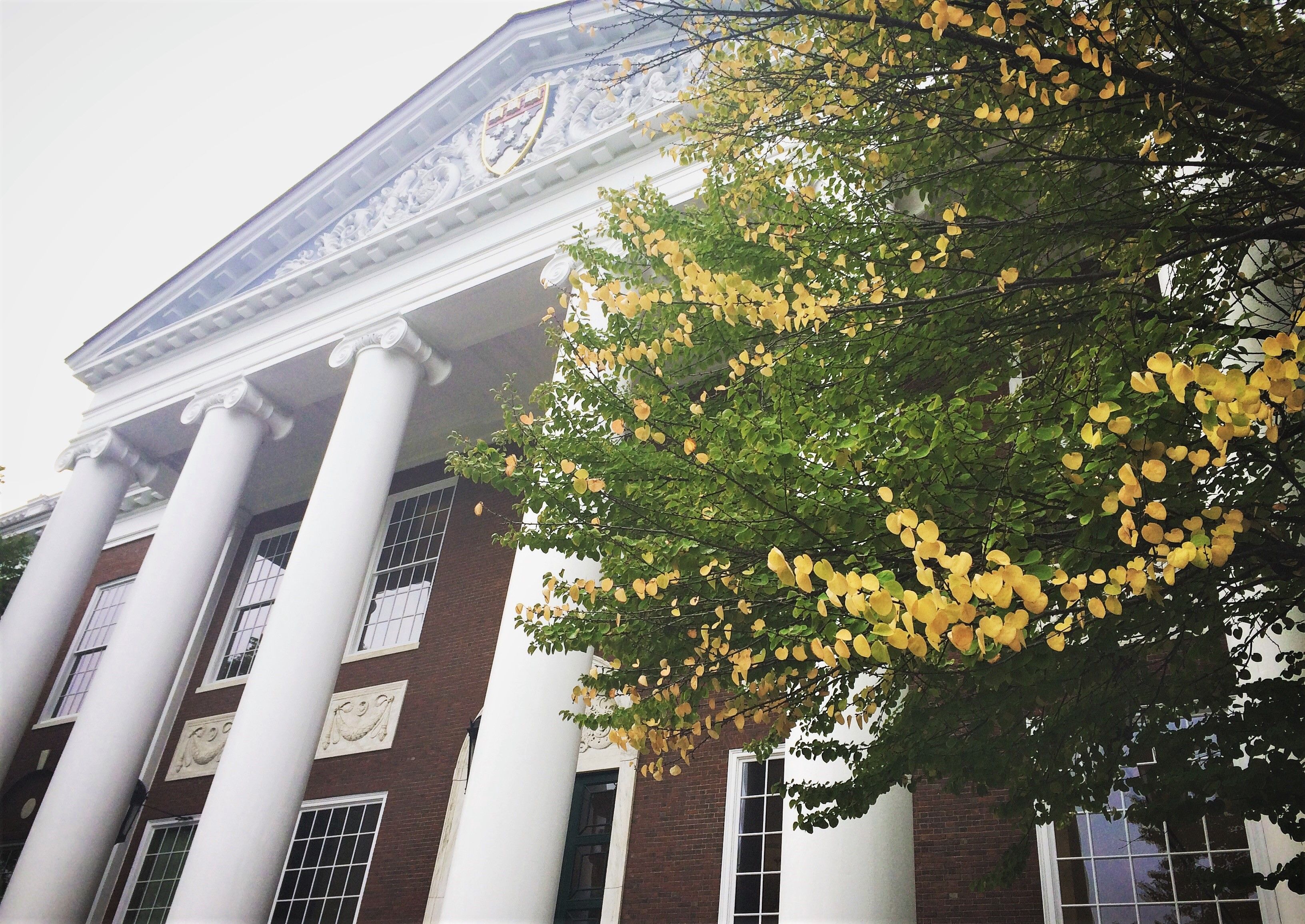 Leaf peeping at Harvard Business School #HBSscene #FoliageTour. Business school, Harvard business school, Schools in america