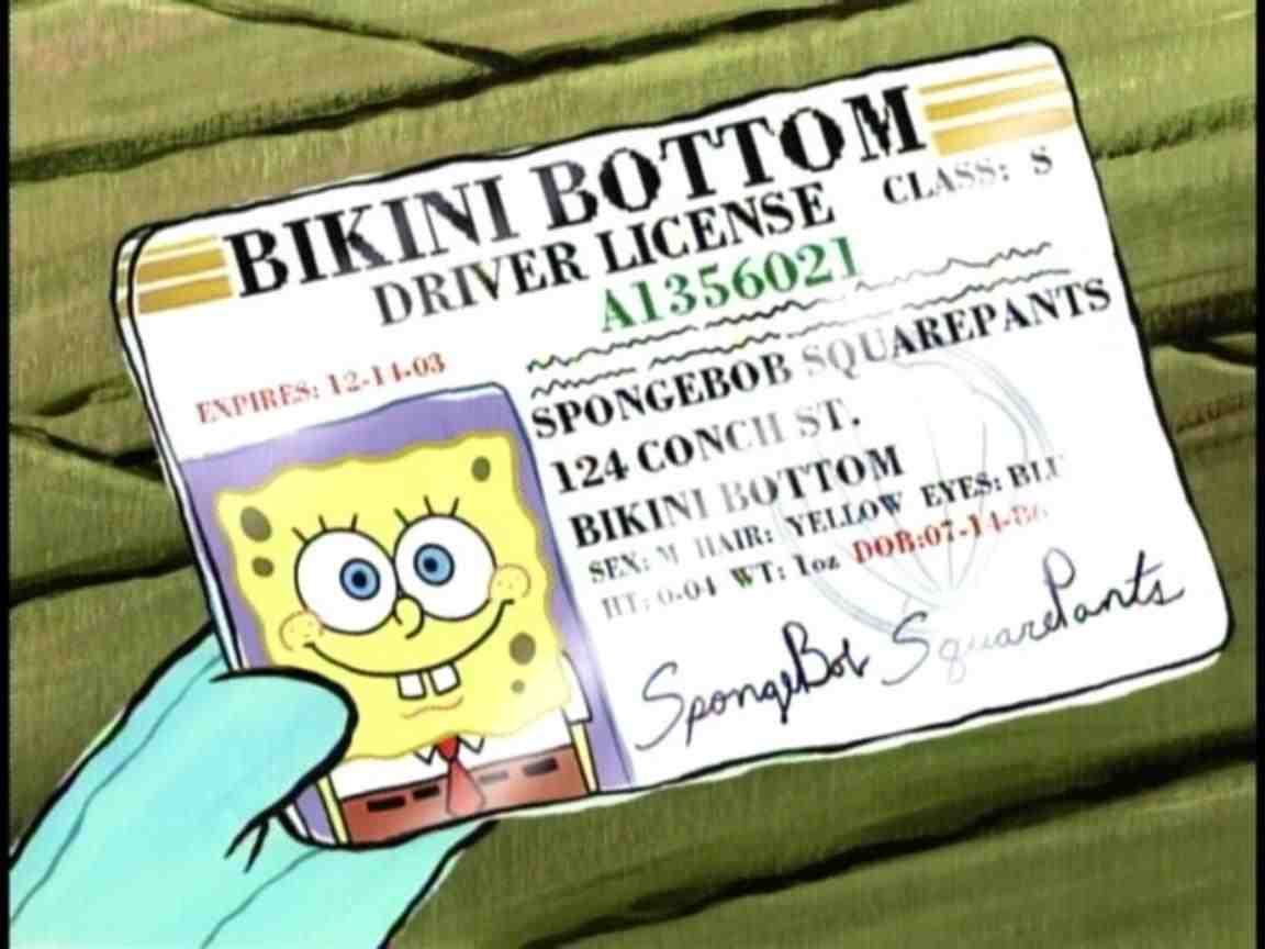 Get my driving licence. Spongebob, Happy birthday spongebob, Squarepants