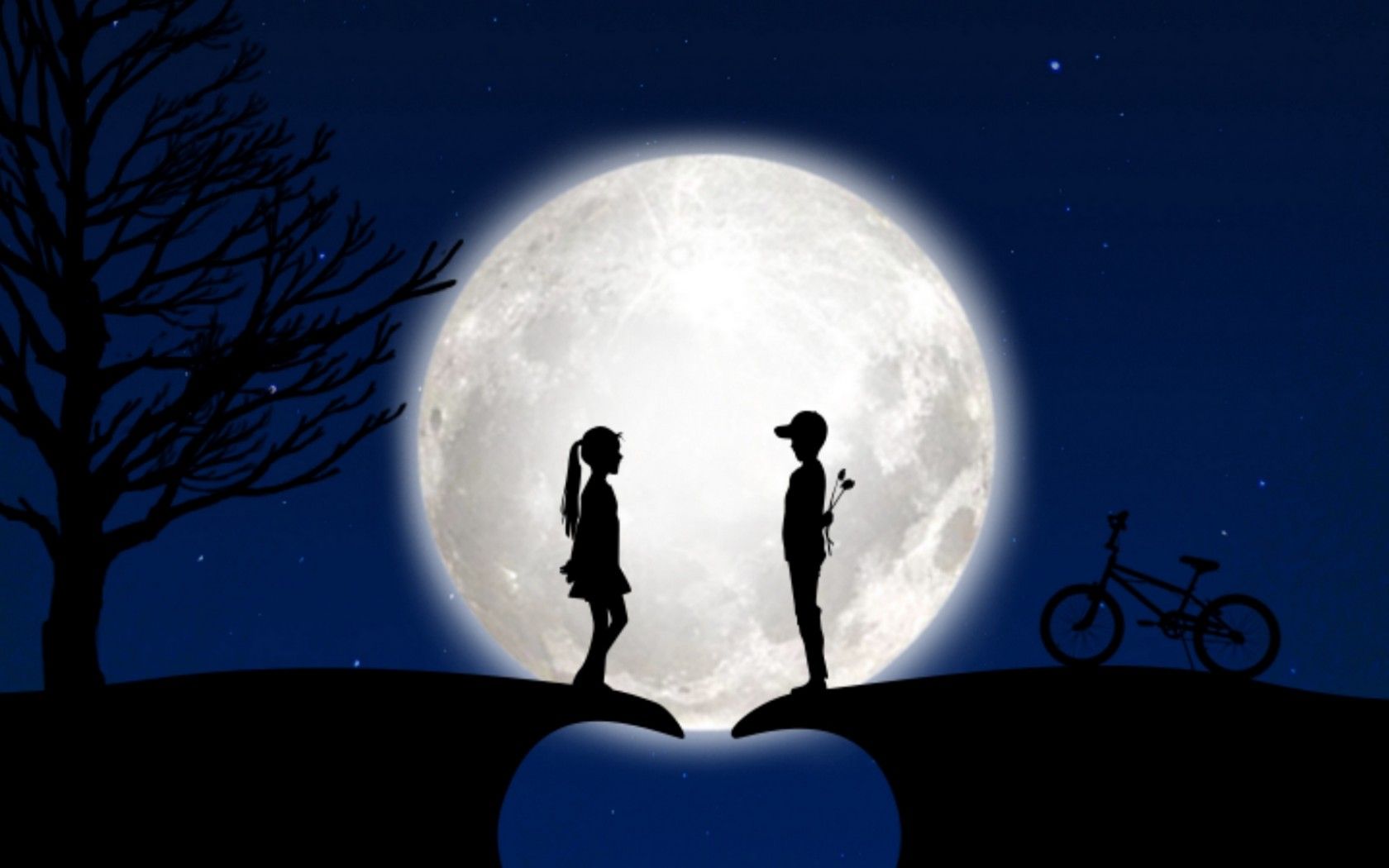 Couple in the light of the moon HD Wallpaper 1680x1050