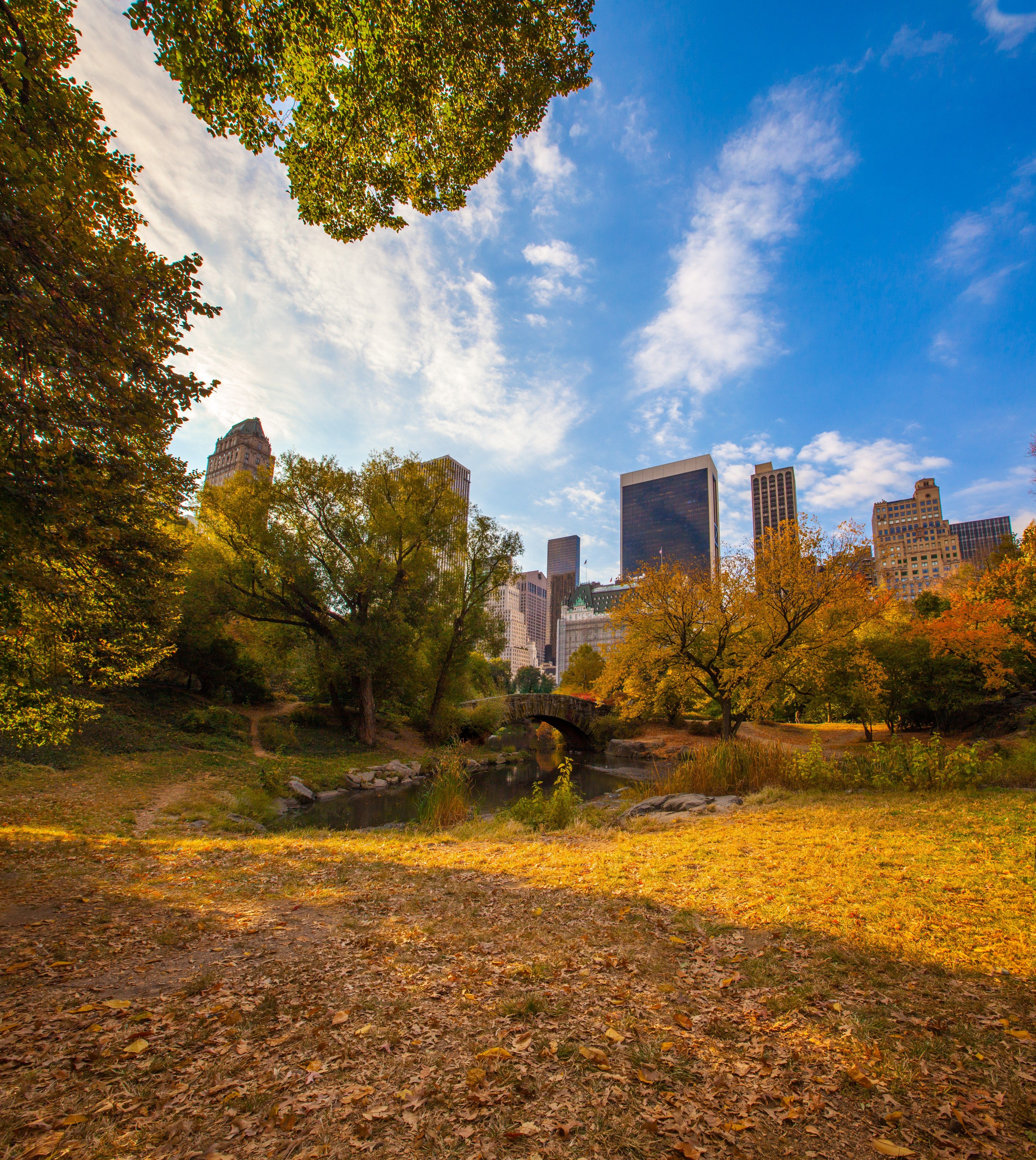 Wallpaper / central park in autumn with new york city skyscrapers in the distance, crunchy leaves beneath my feet 4k wallpaper free download