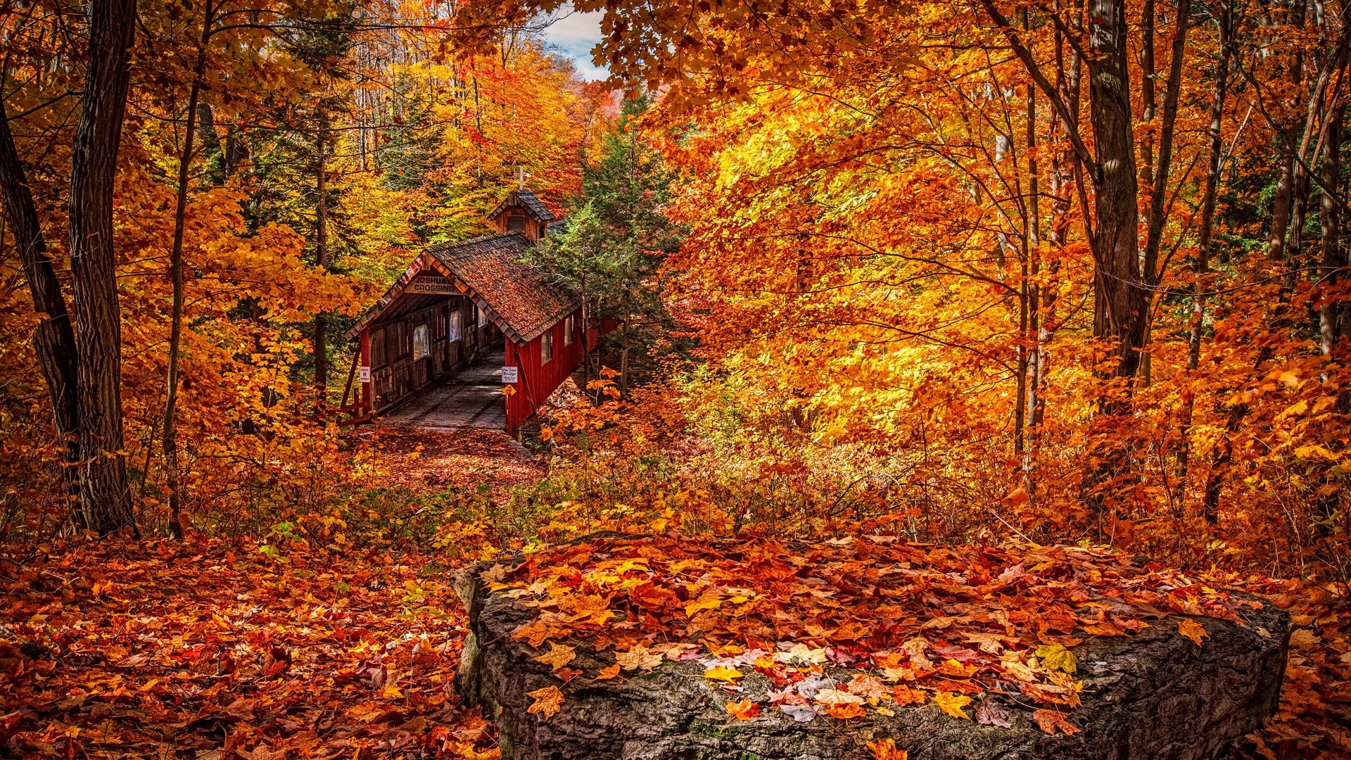 Yellow Red Foliage And Trees Autumn Season Wallpaper File HD