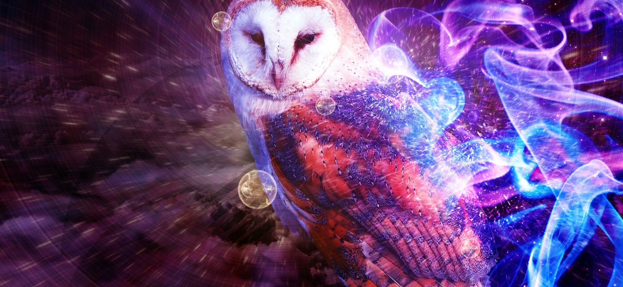 Colorful Owl Wallpaper HD