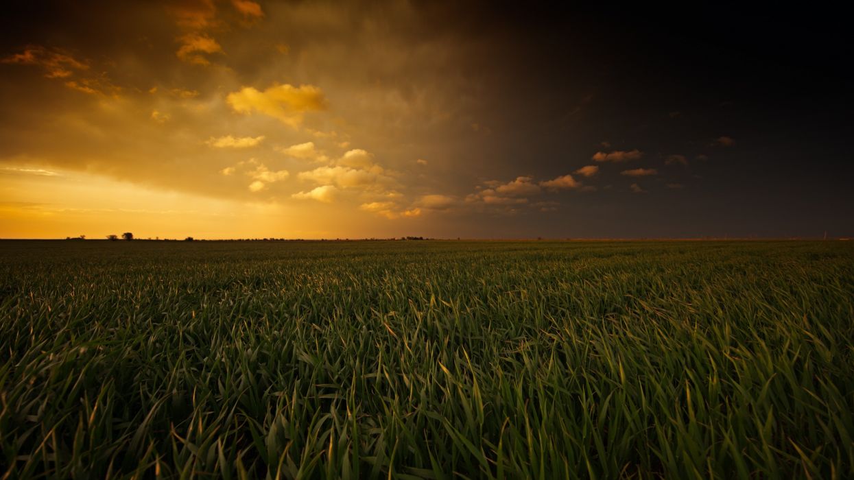 Sunset Over Corn Field 4K Ultra HD Desktop Wallpaper wallpaperx2160