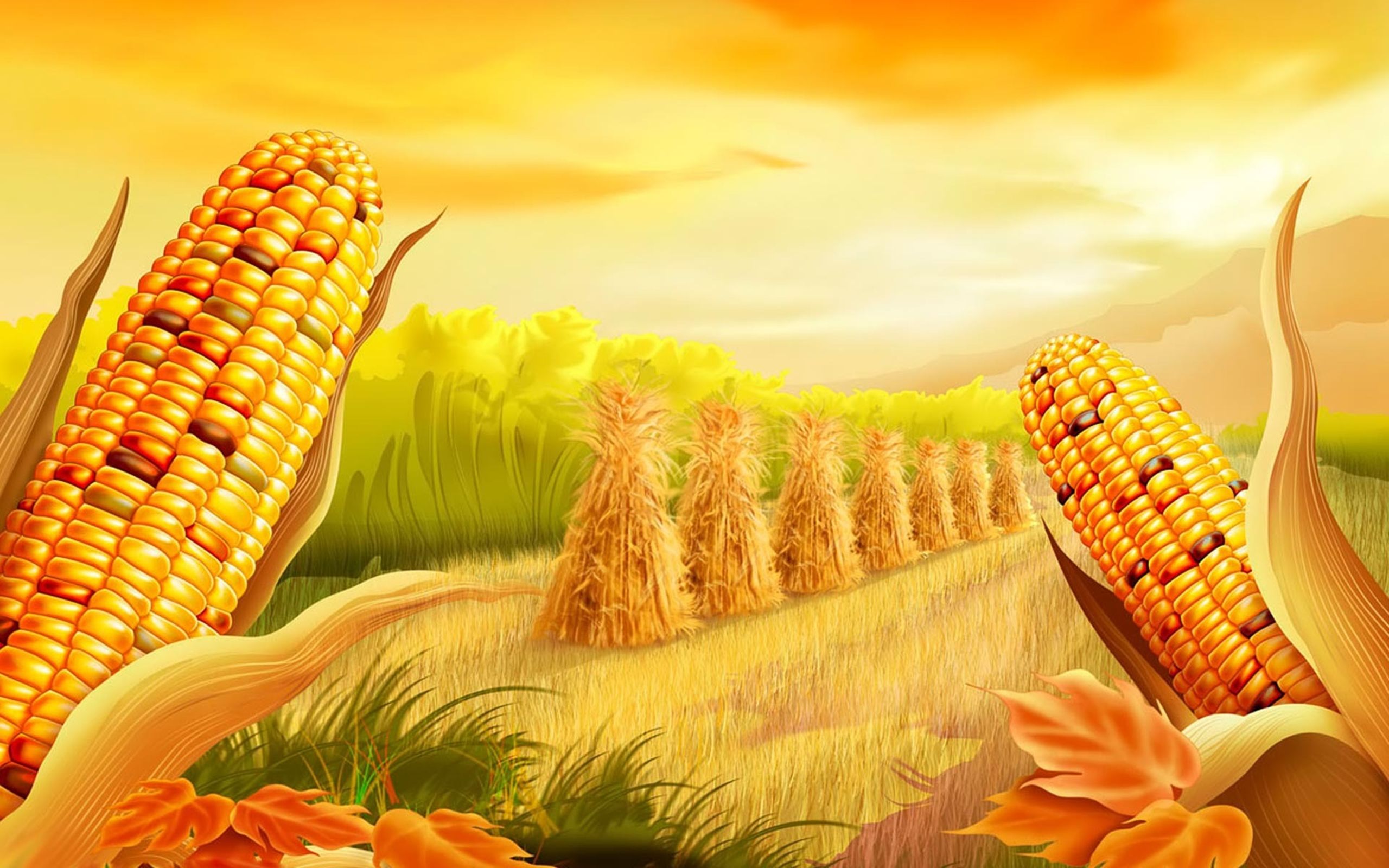 Corn Field Artistic Wallpaper 2560x1600, Wallpaper13.com