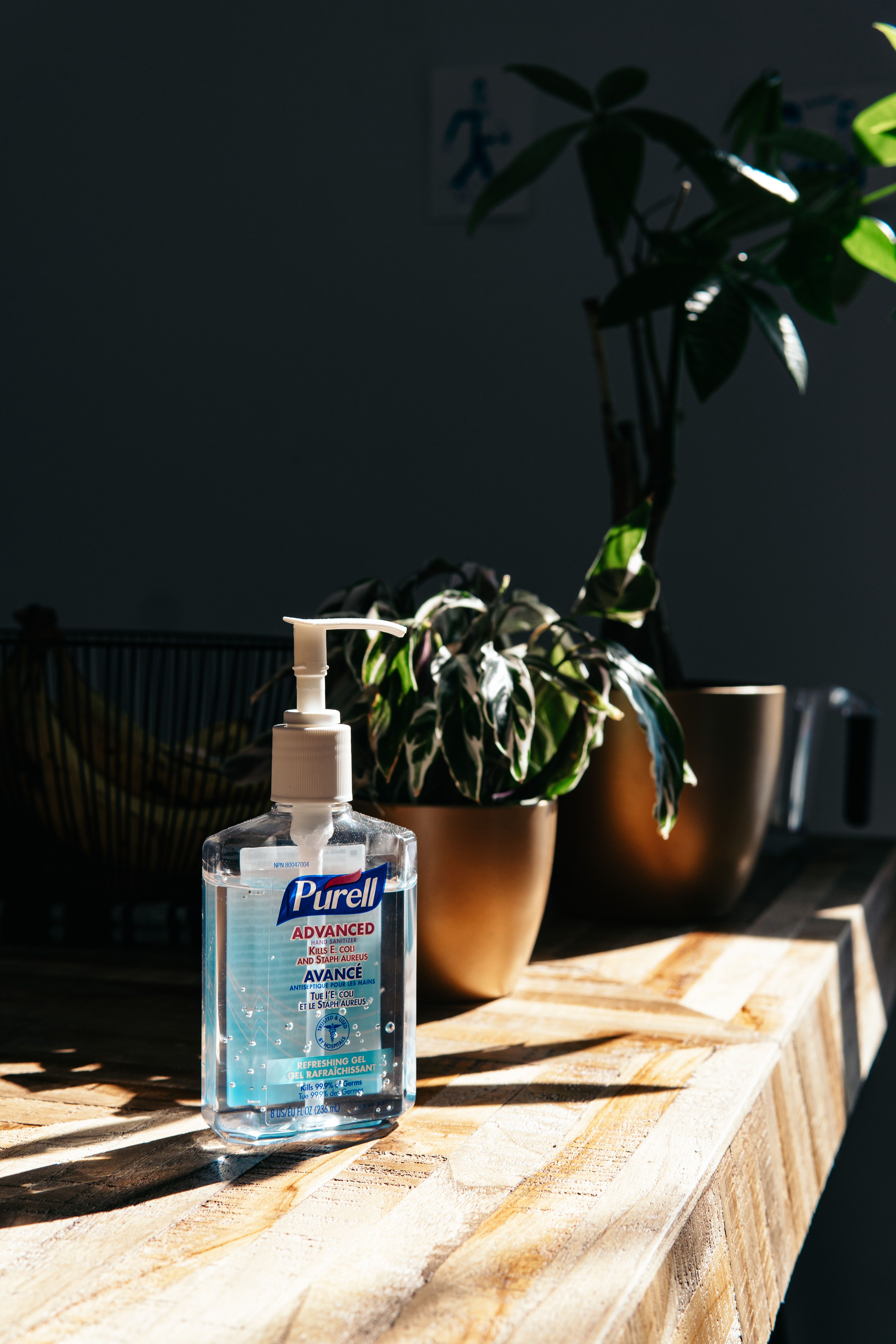 Hand Sanitizer Picture. Download Free Image