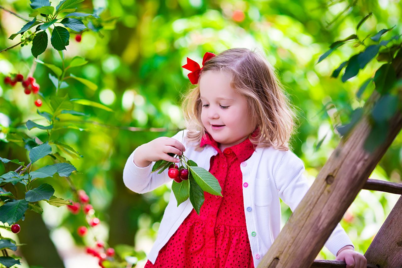 Picture Little girls Smile child Cherry