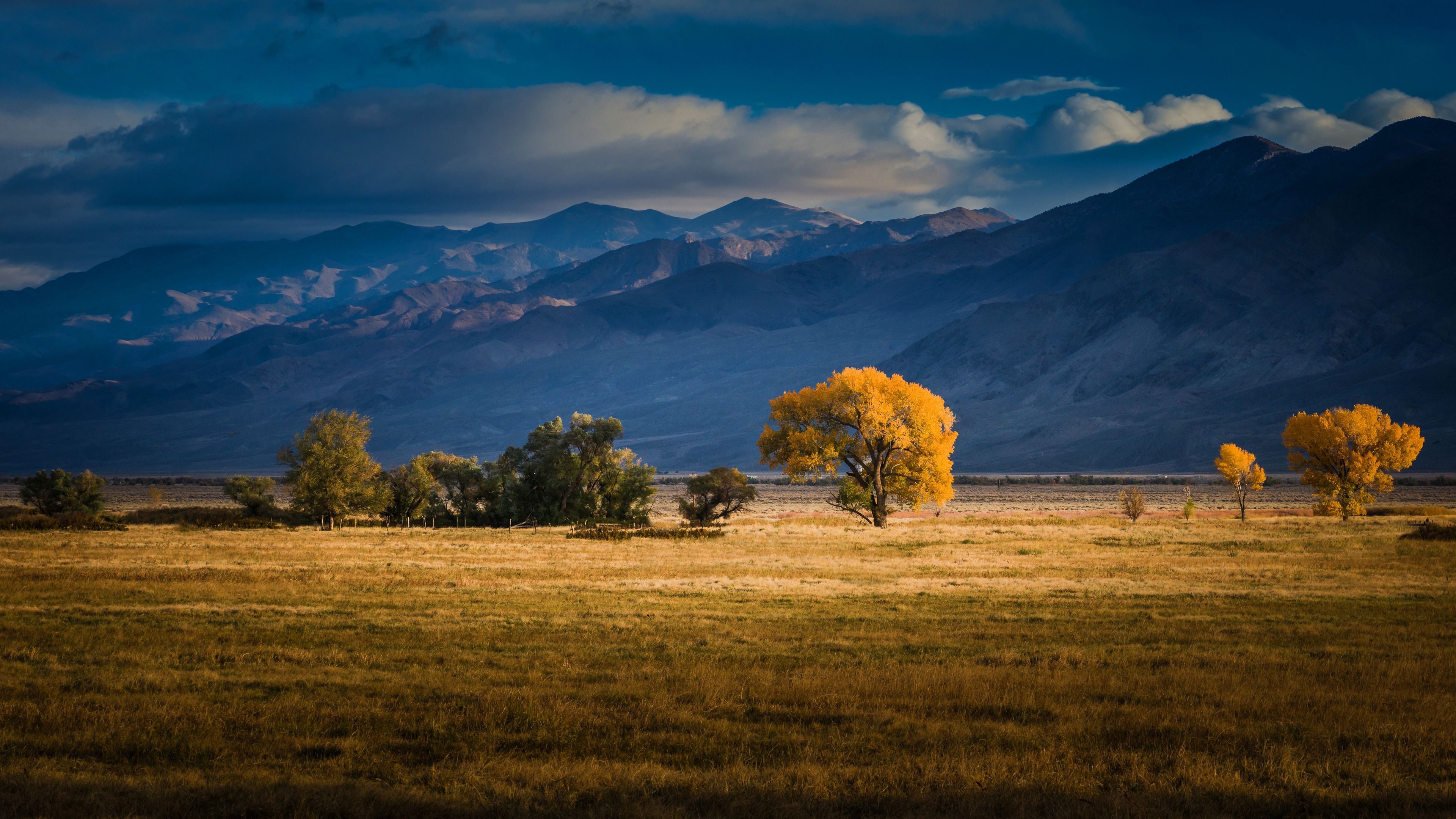 Wallpaper Meadow, trees, mountains, autumn 3840x2160 UHD 4K Picture, Image