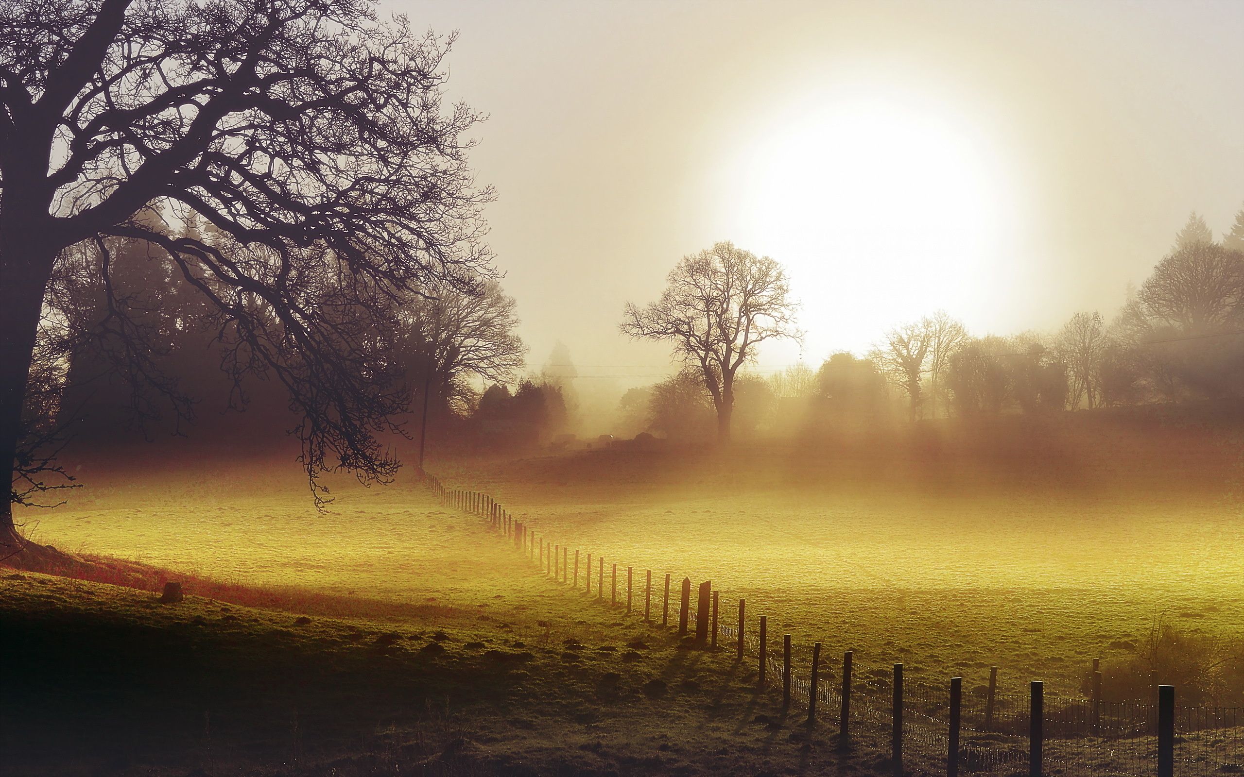 Field morning fog fence landscape autumn wallpaperx1600