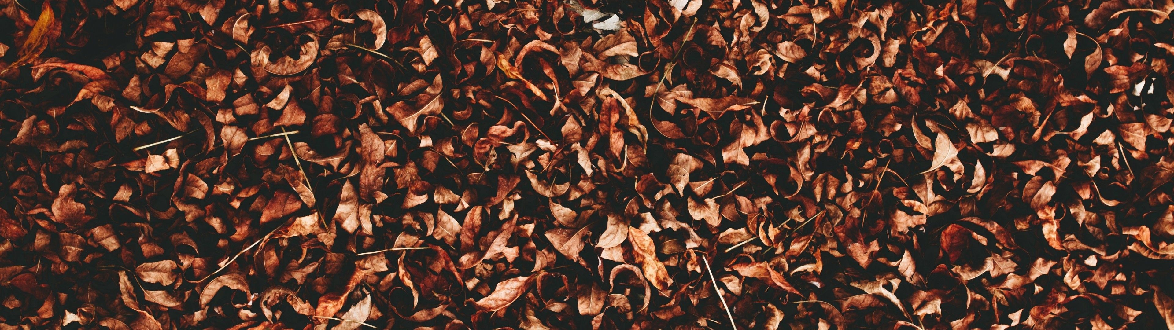 Download 3840x1080 Dry Leaves, Foliage, Autumn Wallpaper