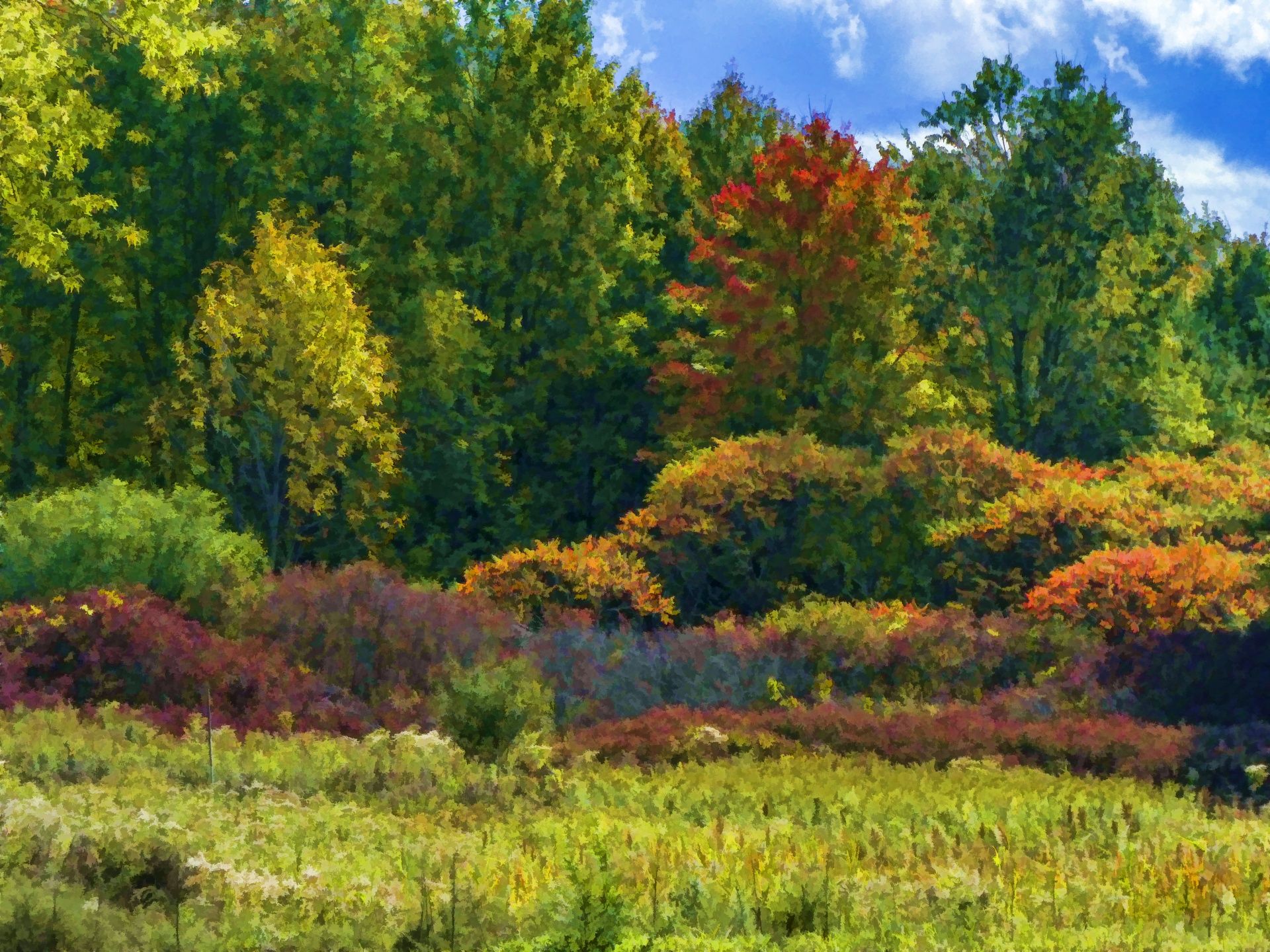 Autumn Meadow Free Domain Picture