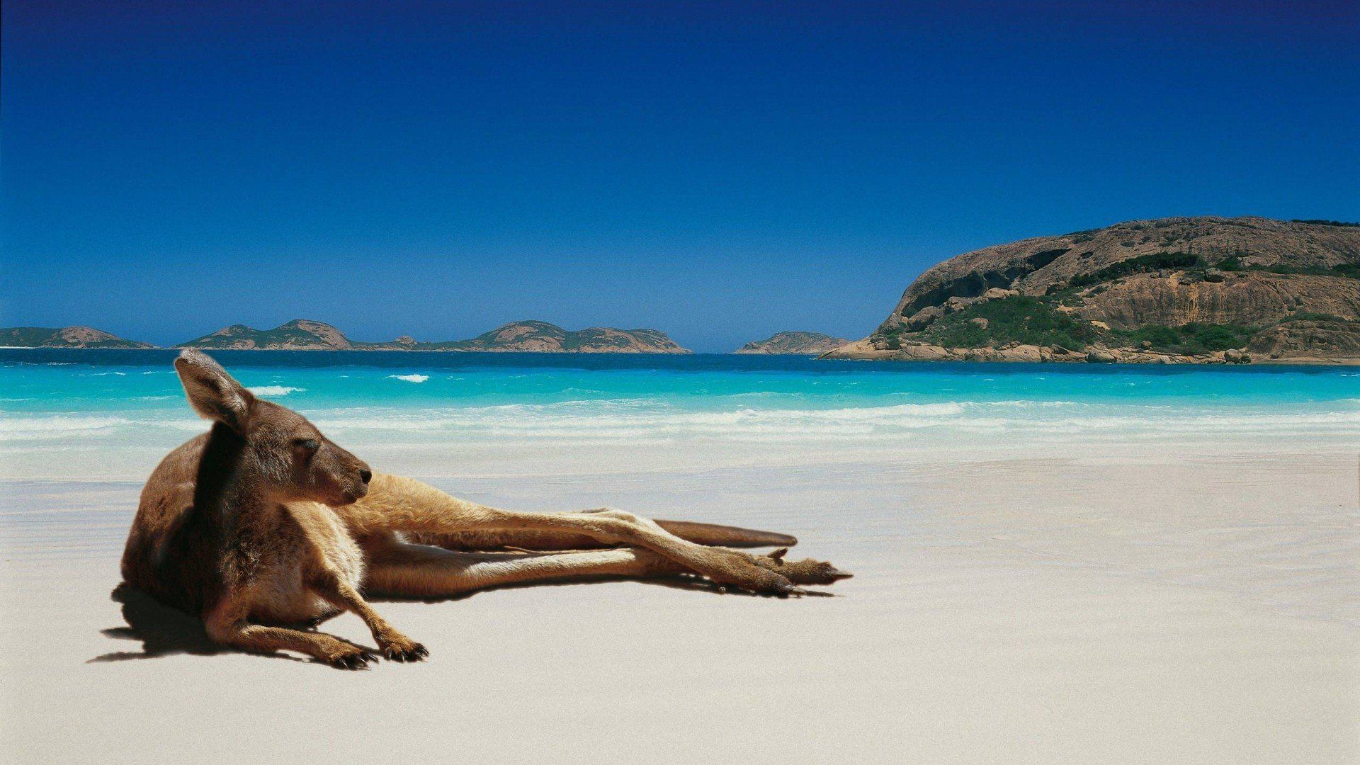 Australian Beach phone, desktop wallpaper, picture, photo, bckground image