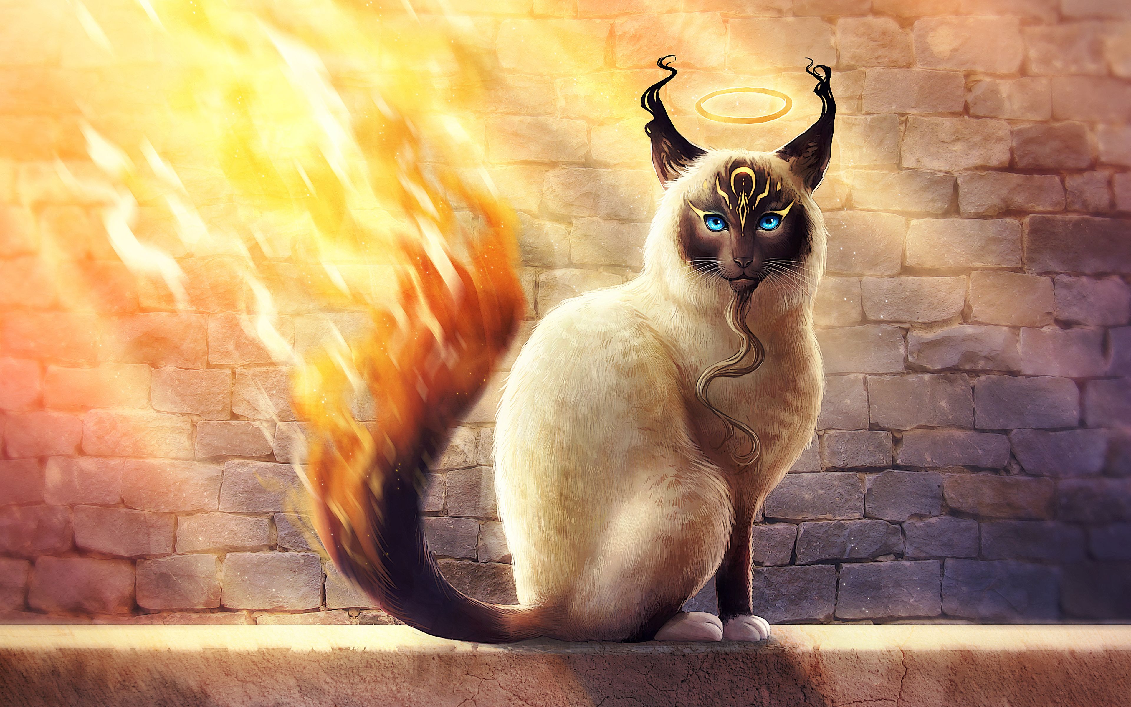 Picture cat Fantasy Tail Fire Magical animals 3840x2400