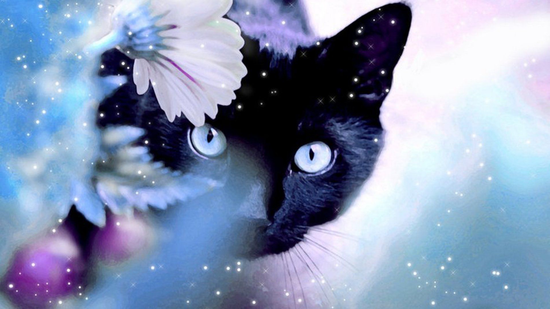 Mystical Winter wallpaper HD free. Beautiful cats, Cat wallpaper, Beautiful cat