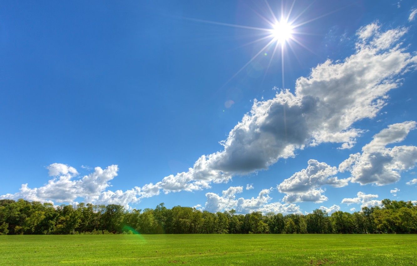 Wallpaper the sky, clouds, trees, meadow, Sunny day, the sun image for desktop, section пейзажи