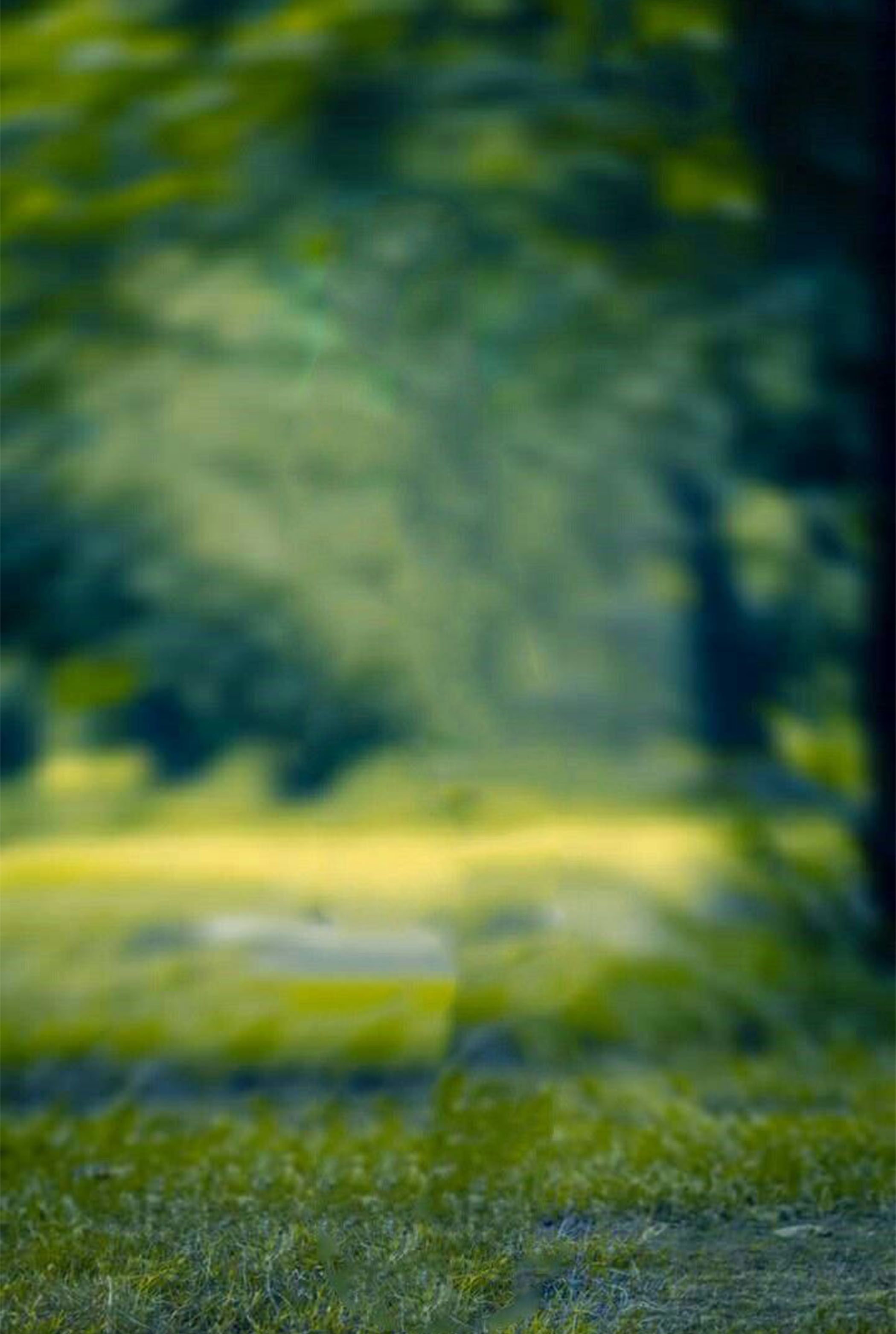 CB Blur Wallpapers - Wallpaper Cave