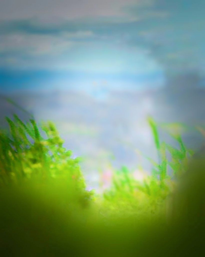 Blur Background Picsart Background Hd Images Download 2021 - Dengan Santai