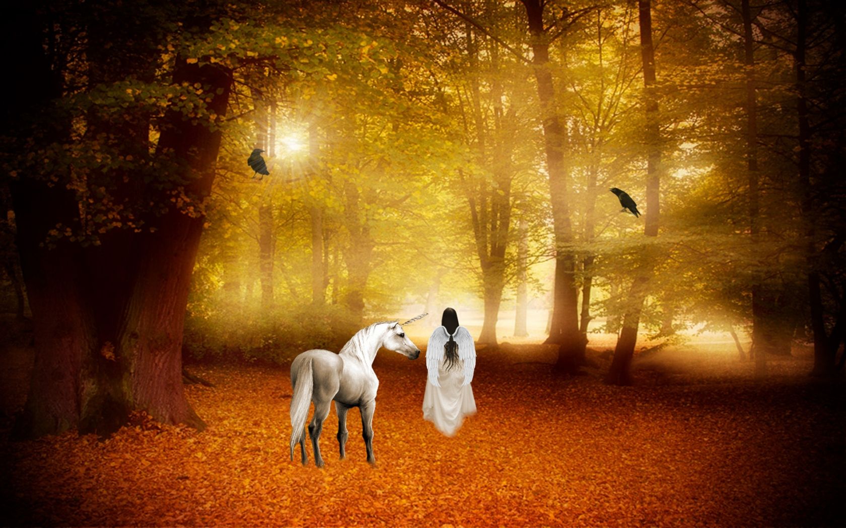 Free download horse magical animal angel fairy autumn forest g wallpaper background [1920x1200] for your Desktop, Mobile & Tablet. Explore Fall Wallpaper with Animals. Funny Animal Wallpaper with Words