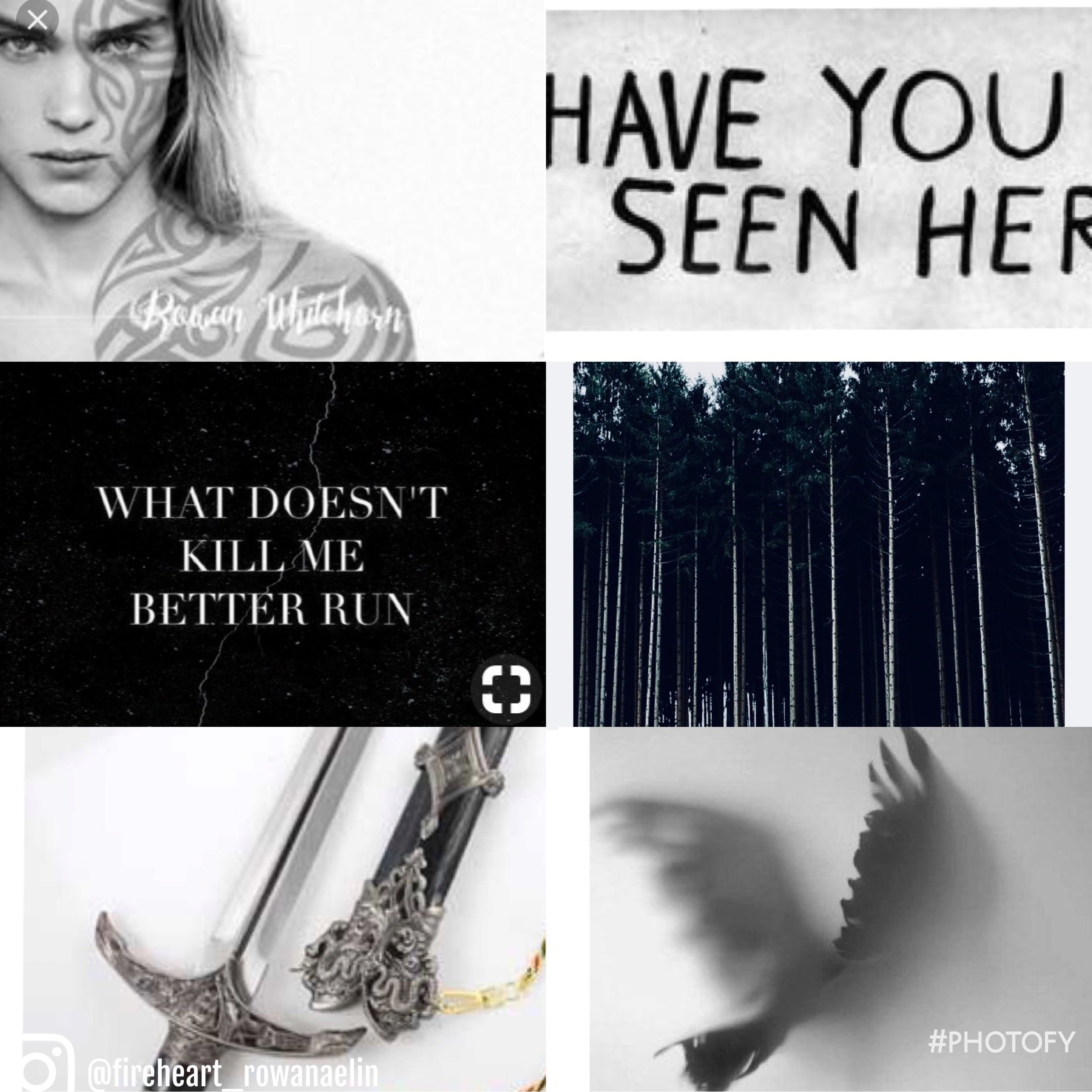 Rowan Whitethorn Throne of glass aesthetic. Throne of glass books, Throne of glass, Throne of glass series