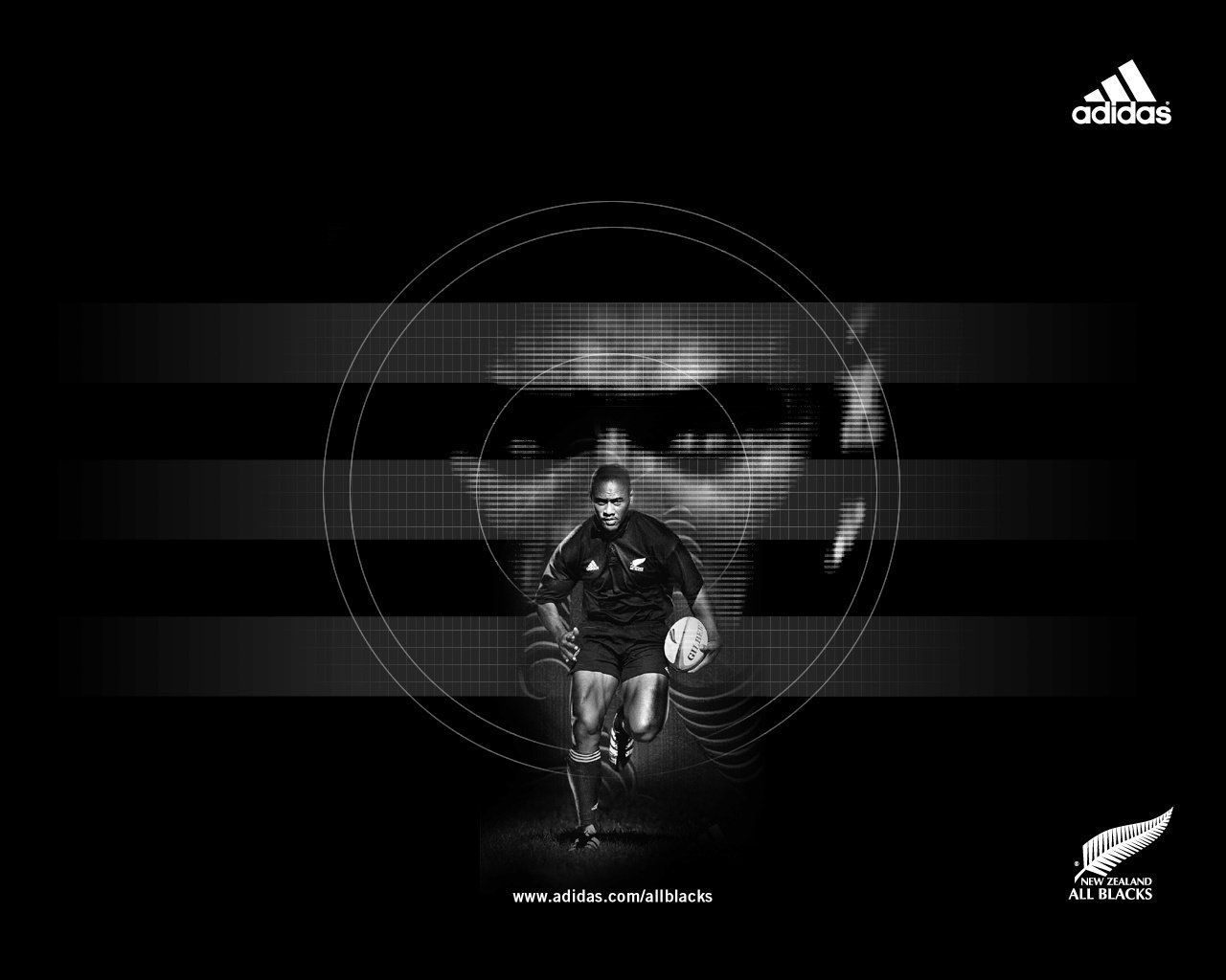 Intensity. All blacks, Best rugby player, Rugby sport