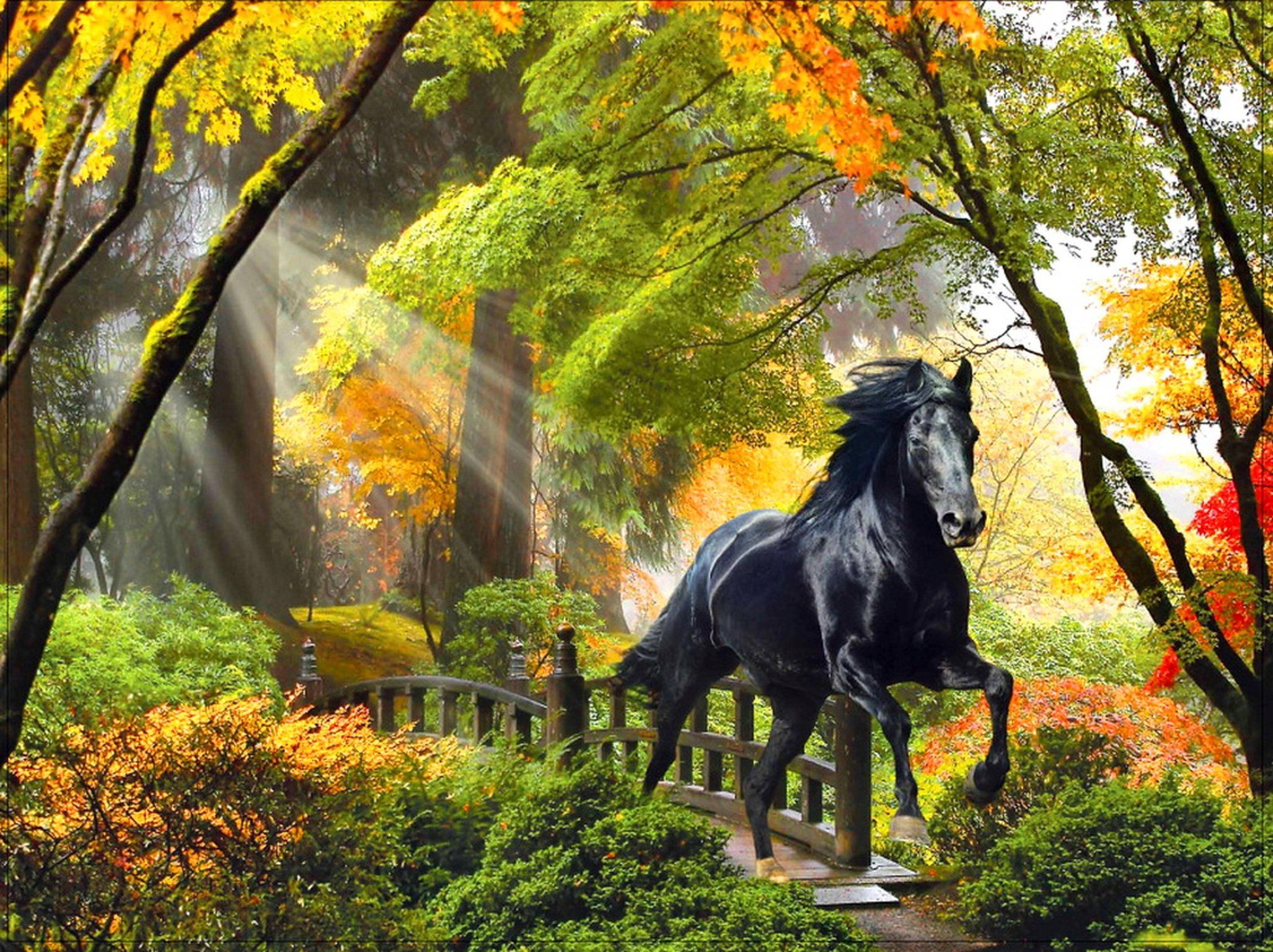 Fall rays horse beautiful trees art enchanted bridge magical colors forest run glow autumn painting wallpaperx1536