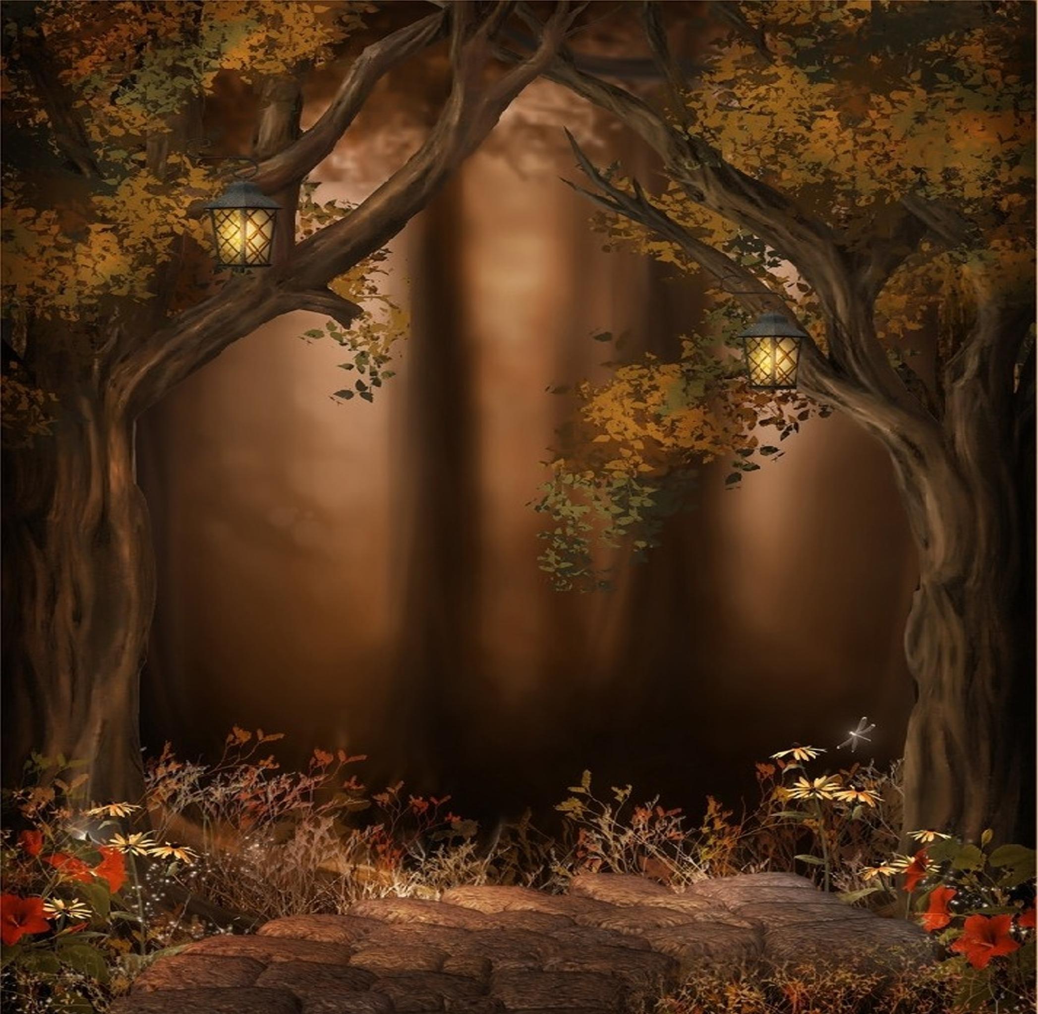 Magical Forest HD desktop wallpaper, Widescreen, High Definition