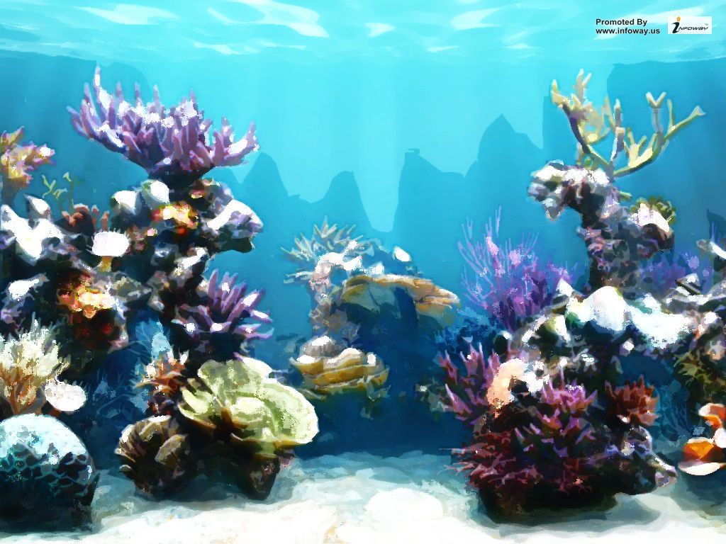 Reef Fish Wallpapers - Wallpaper Cave