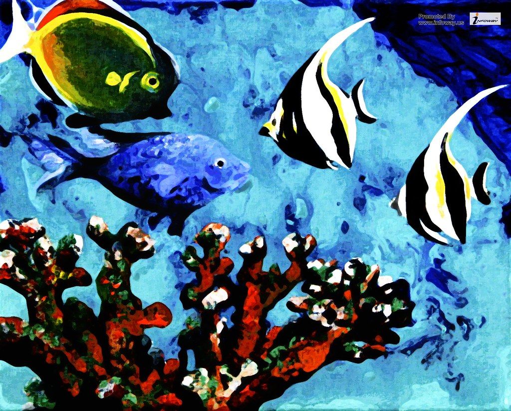 HD wallpaper coral reef fish wallpaper. HD wallpaper cora