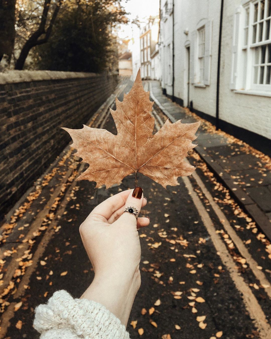 Polly Florence on Instagram: “Out of all of the beautiful things autumn brings— this is maybe my favourite